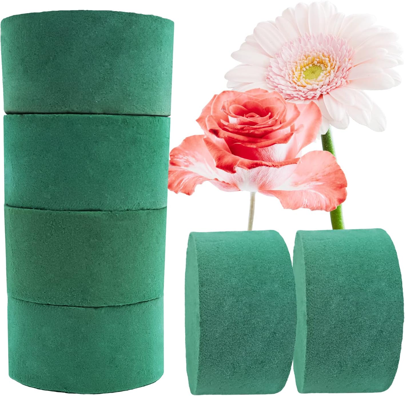 Prashent 6 Pcs Round Floral Foam Blocks,Green Wet Dry Flower Foam Plant Foam for Fresh & Artificial Flower Arrangements DIY Craft 3.2" X 1.6"