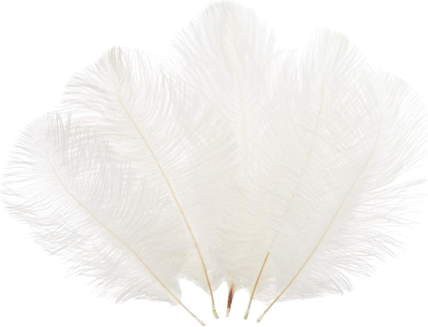 Sowder 6-8inch(15-20cm) Ostrich Feathers Plume for Wedding Centerpieces Home Decoration Pack of 10pcs(White)
