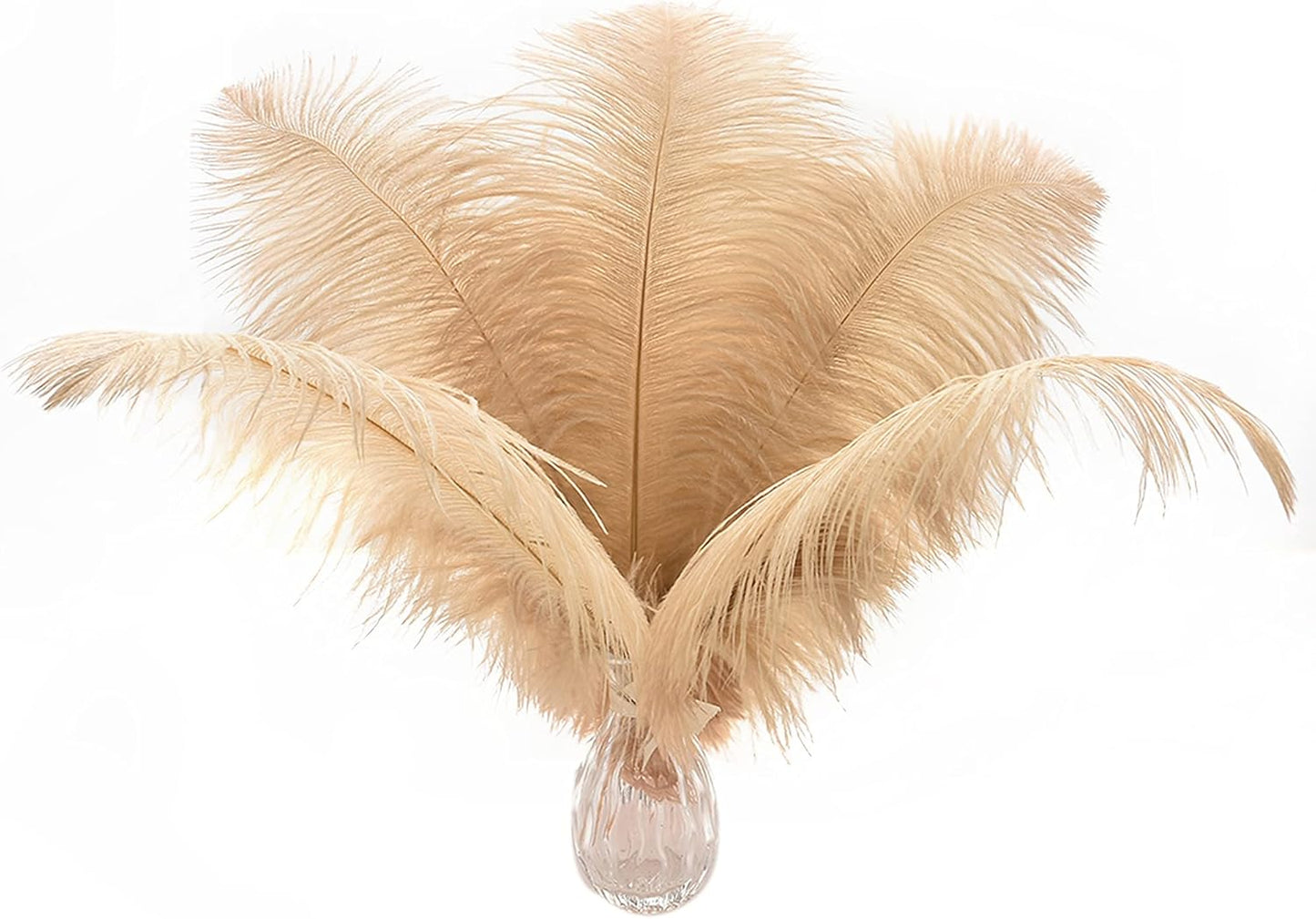 Ballinger Champagne Ostrich Feathers Bulk - 24pcs 10-12inch Boho Feathers for vase and Home Decor Wedding Party Centerpieces
