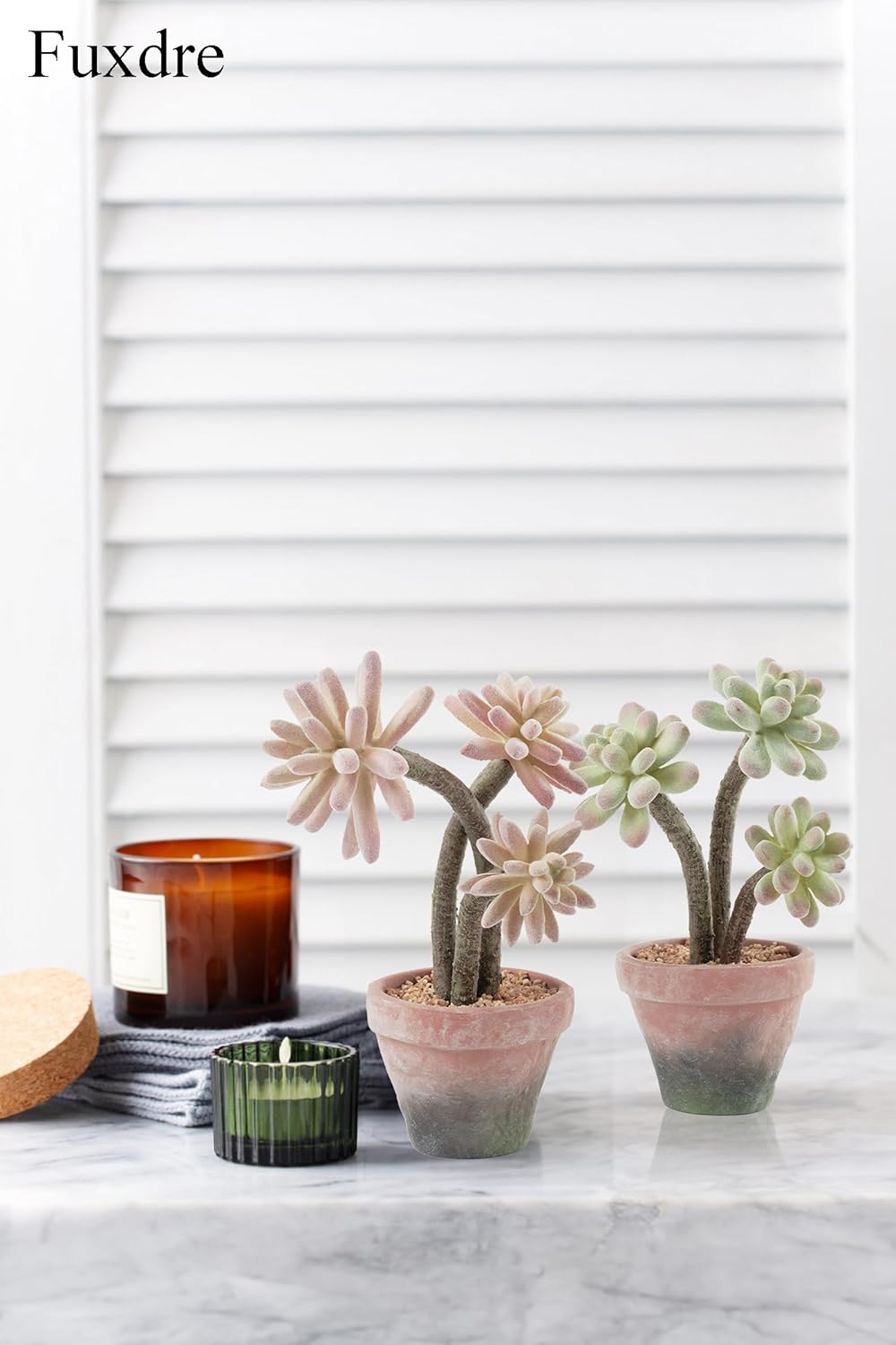 2-Pack Artificial Succulent Plants in Vintage Plastic Pots - Waterproof Fake Succulents Decor for Home, Office, Desk - Low Maintenance Indoor Plants for Bathroom, Shelf, Table Decor