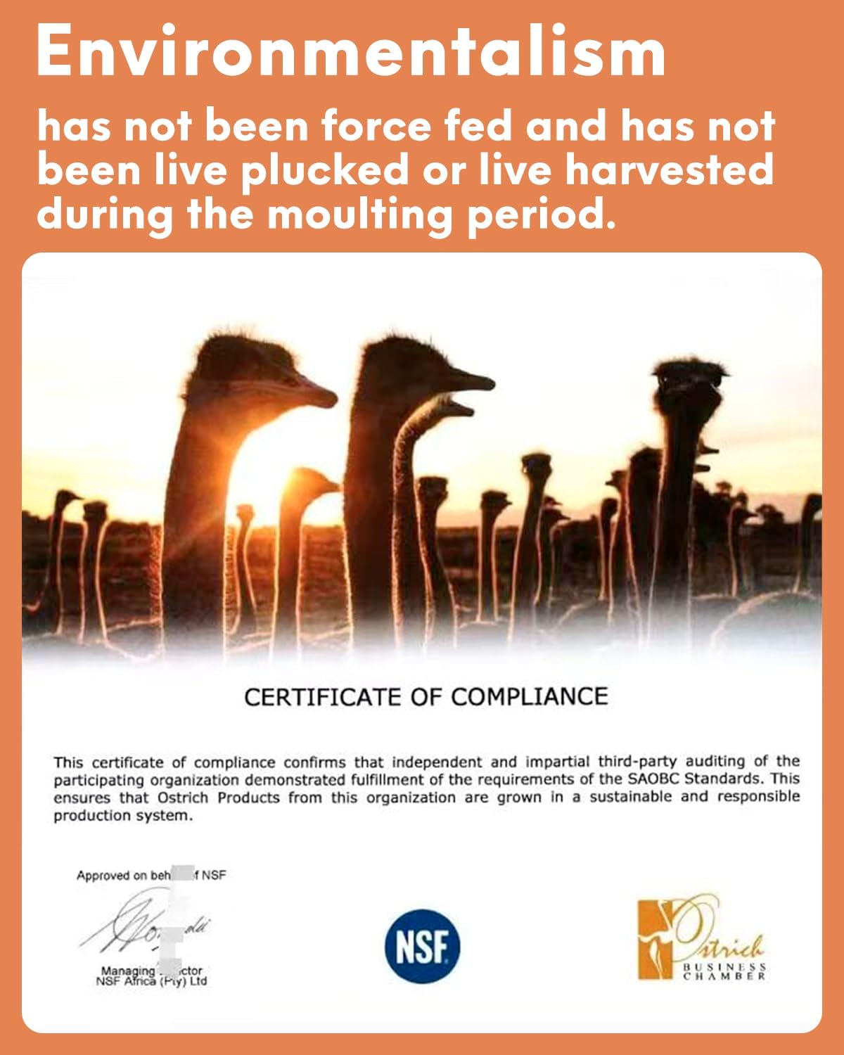 NEWONG 30pcs Orange Ostrich Feathers Natural Bulk 8-10in（20-25cm） Vase Craft Wedding Home Party Centerpieces Christmas Day Decoration