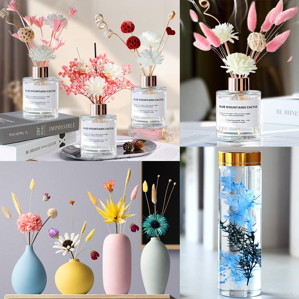 Vignee Real Dried Pressed Leaf Flowers-Multiple Colorful Pressed Flowers Daisies for Craft Resin Jewelry Making Art Craft DIY（Red）