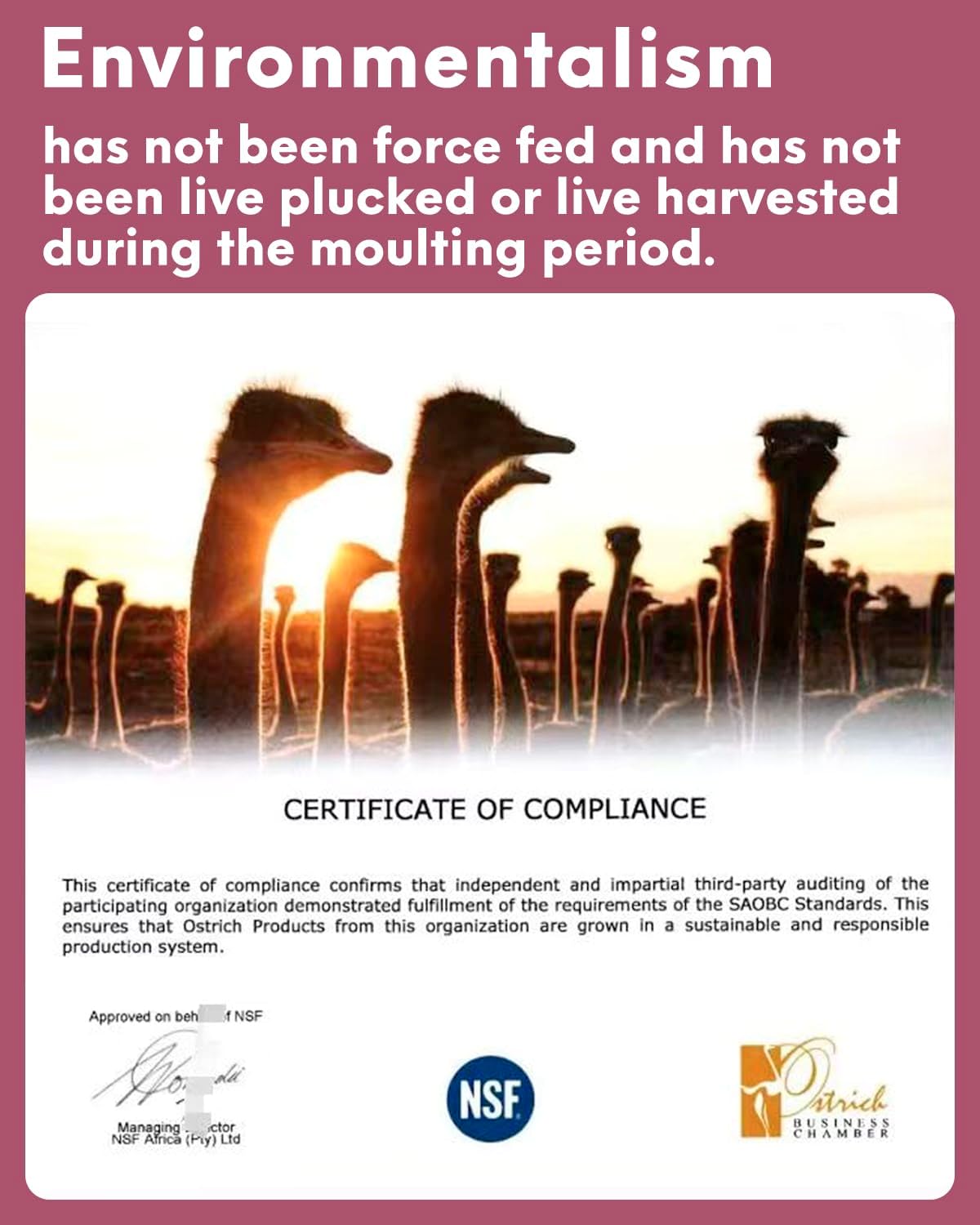 NEWONG 30pcs Wine red Ostrich Feathers Natural Bulk 9-12in（23-30cm） Vase Craft Wedding Home Party Centerpieces Christmas Day Decoration