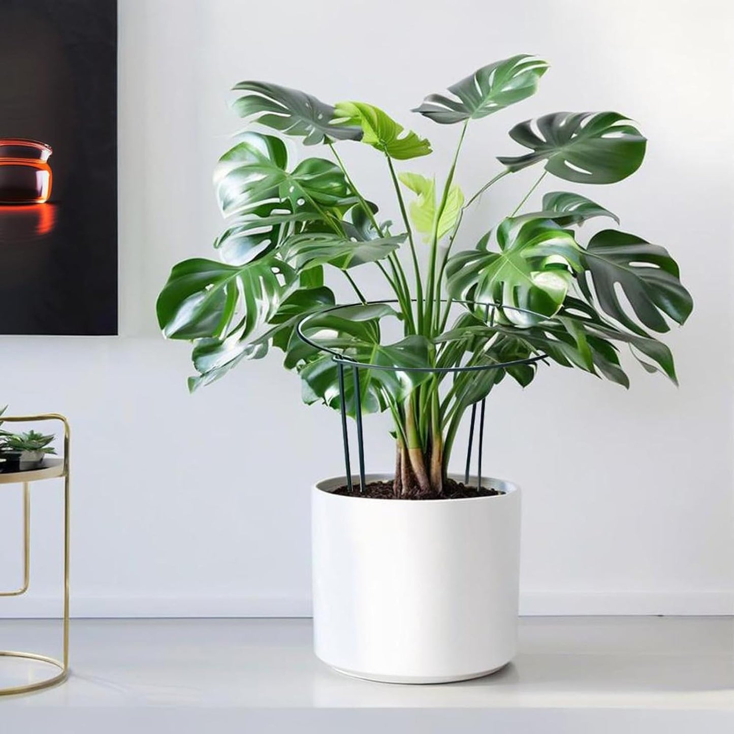 LINGHUI 6 Pack Plant Support Stakes, 10" Wide x 16" High,Heavy-Duty Half Round Peony Support Ring and Cage for Indoor and Outdoor Plants, Peony, Tomato, Hydrangea, Rose(100 Plant Ties)