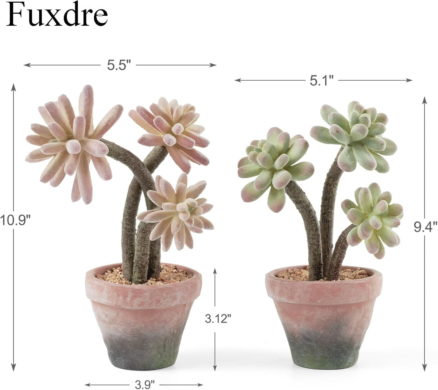 2-Pack Artificial Succulent Plants in Vintage Plastic Pots - Waterproof Fake Succulents Decor for Home, Office, Desk - Low Maintenance Indoor Plants for Bathroom, Shelf, Table Decor