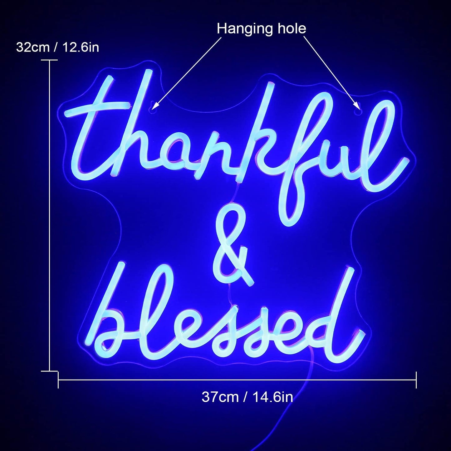 Thankful and Blessed Neon Sign Thanksgiving Led Sign Blessed Neon Lights Blue Light up Sign USB Powered Switch Neon Signs for Wall Decor for Wedding Decoration Birthday Party Girls Decor