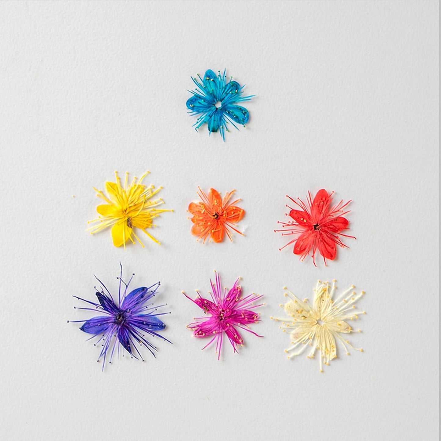 84 Pcs Dried Pressed Flowers for Crafts Resin Art DIY Natural Dry Sandalwood Floral Epoxy Jewelry Real Flower Decor Cakes Phone Cases Candles Handmade Soap Sandalwood