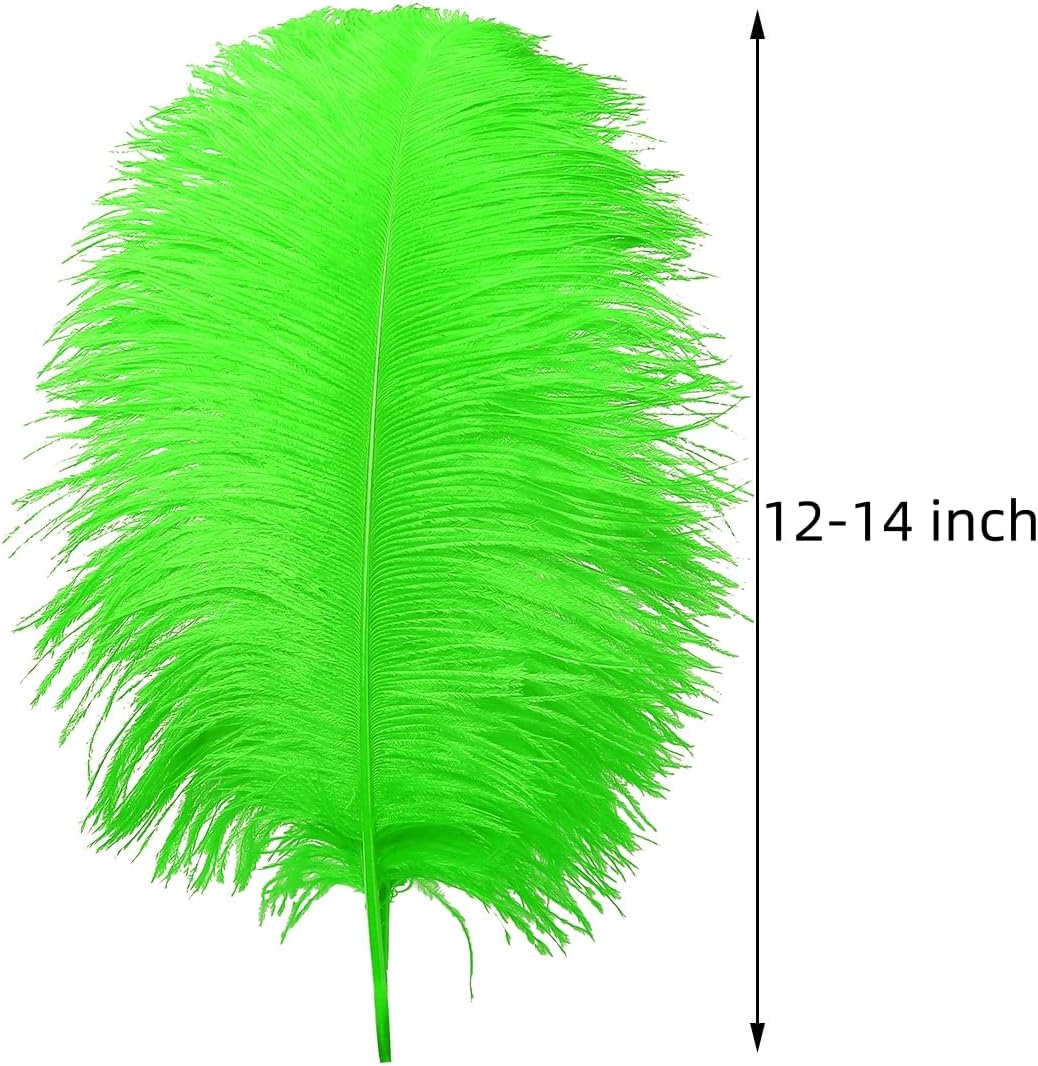 Ballinger Lime Green Ostrich Feathers - 24Pcs 12-14inch Large Green Feathers for Vase,Wedding Party Centerpieces and Holiday Home Decor