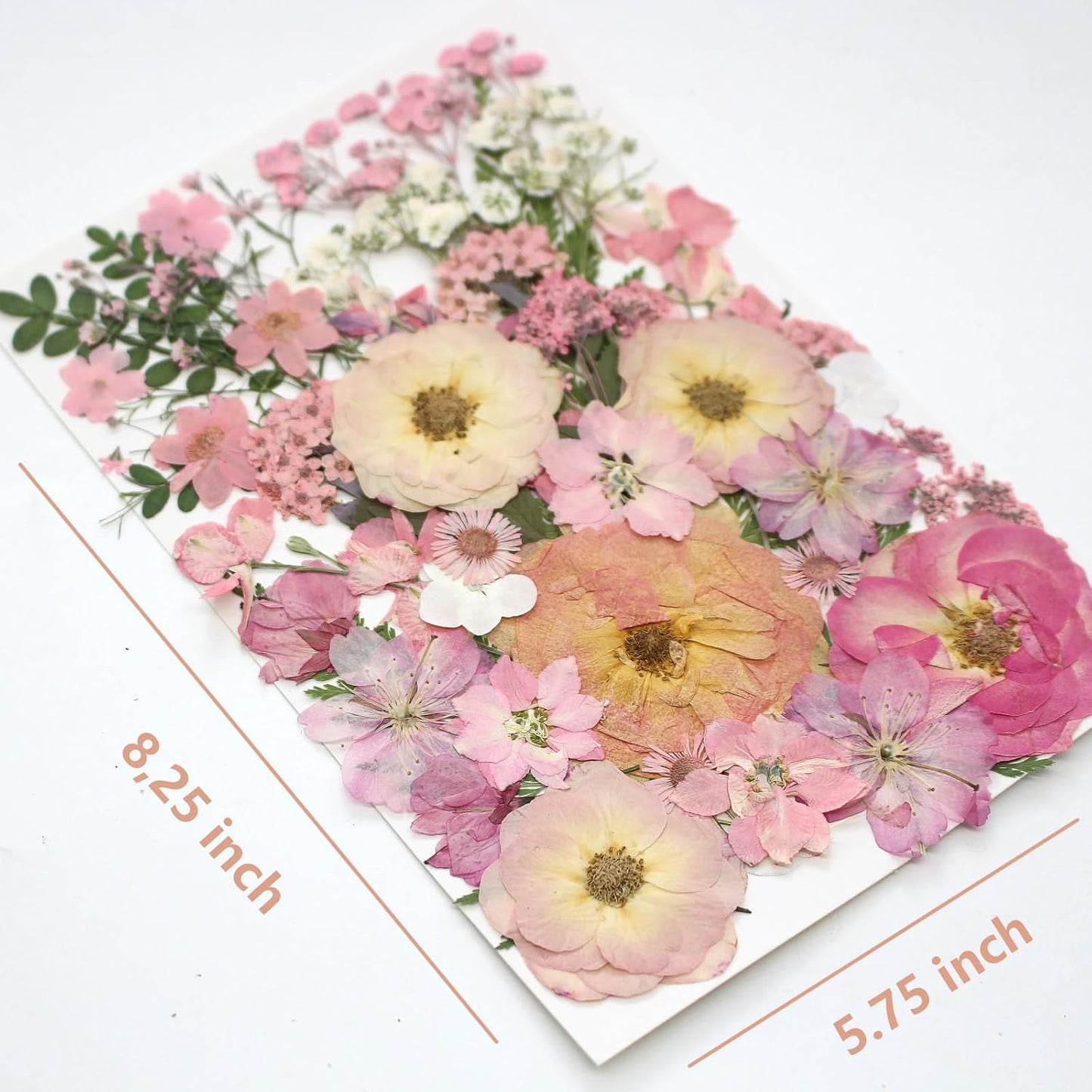 AHTONG 14 Types Pink Dried Pressed Flowers for Craft, Leaf Plant Herbarium for Resin Molds Jewelry Making Floral Decors (Peach Fuzz)