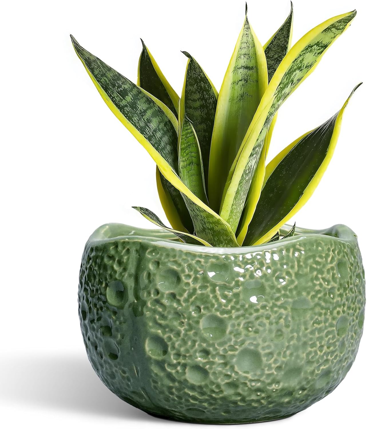 8 Inch Plant Pot - Ceramic Pots for Plants with Drainage Hole, Round Decorative Plant Pots for Indoor Outdoor, Modern Unique Flower Pot, Office Decor, Garden Gifts, Green
