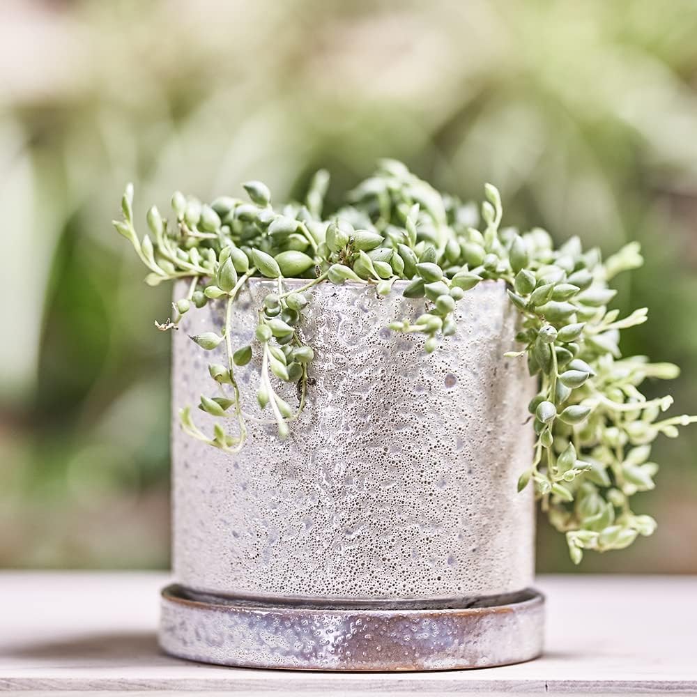 CHIVE ‘Minute’ Ceramic Planter Pot — Cute 5” Colorful Succulent Pots for Indoor & Outdoor House Plants — Beautiful Modern Farmhouse Kitchen Decor — Ivory Speckle