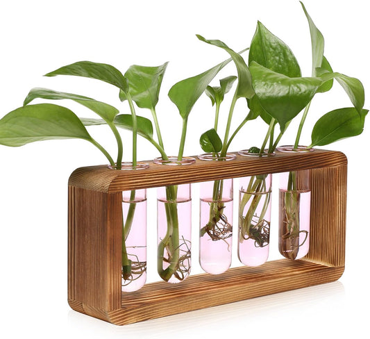 Glass Plant Propagation Station with 5 Test Tubes Colorful Planter Vase Birthday Gifts for Women in Wooden Stand