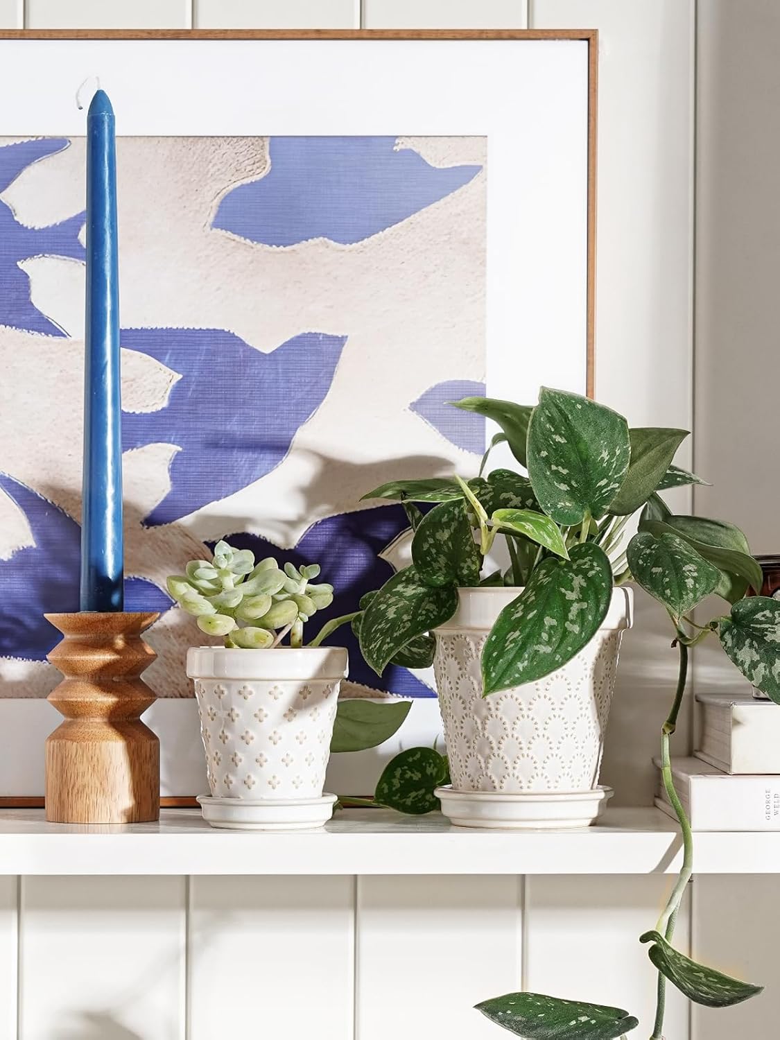 LE TAUCI 3 Inch Mini Succulent Pots - Very Small Ceramic Planter with Saucer, Tiny Embossed Flower Pots for Lithops, Mini Cactus, Air Plants, Fairy Gardens - Indoor Home Decor, Set of 4, Arctic White