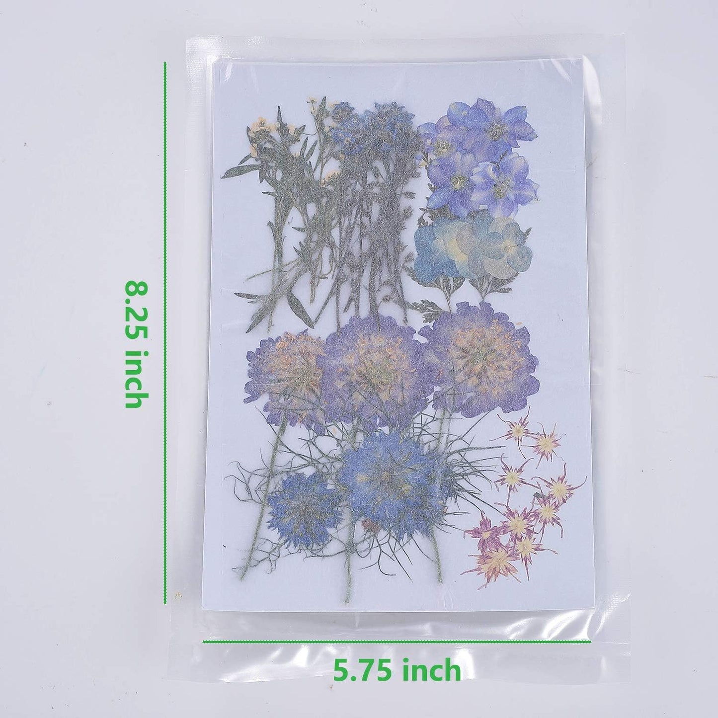 8 Types 46pcs Real Dried Pressed Flowers Leaf Plant Herbarium for DIY Resin Jewelry Making Floral Decors (Blue)