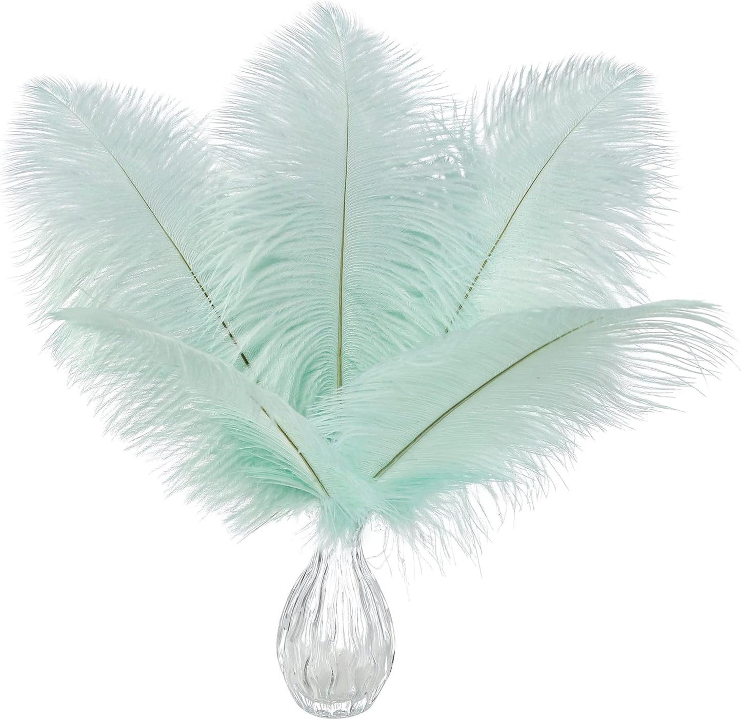 Ballinger Aqua Green Ostrich Feathers - 24pcs 12-14inch Craft Feathers Bulk for Wedding Party Centerpieces Mardi Gras Decorations and Home Decor