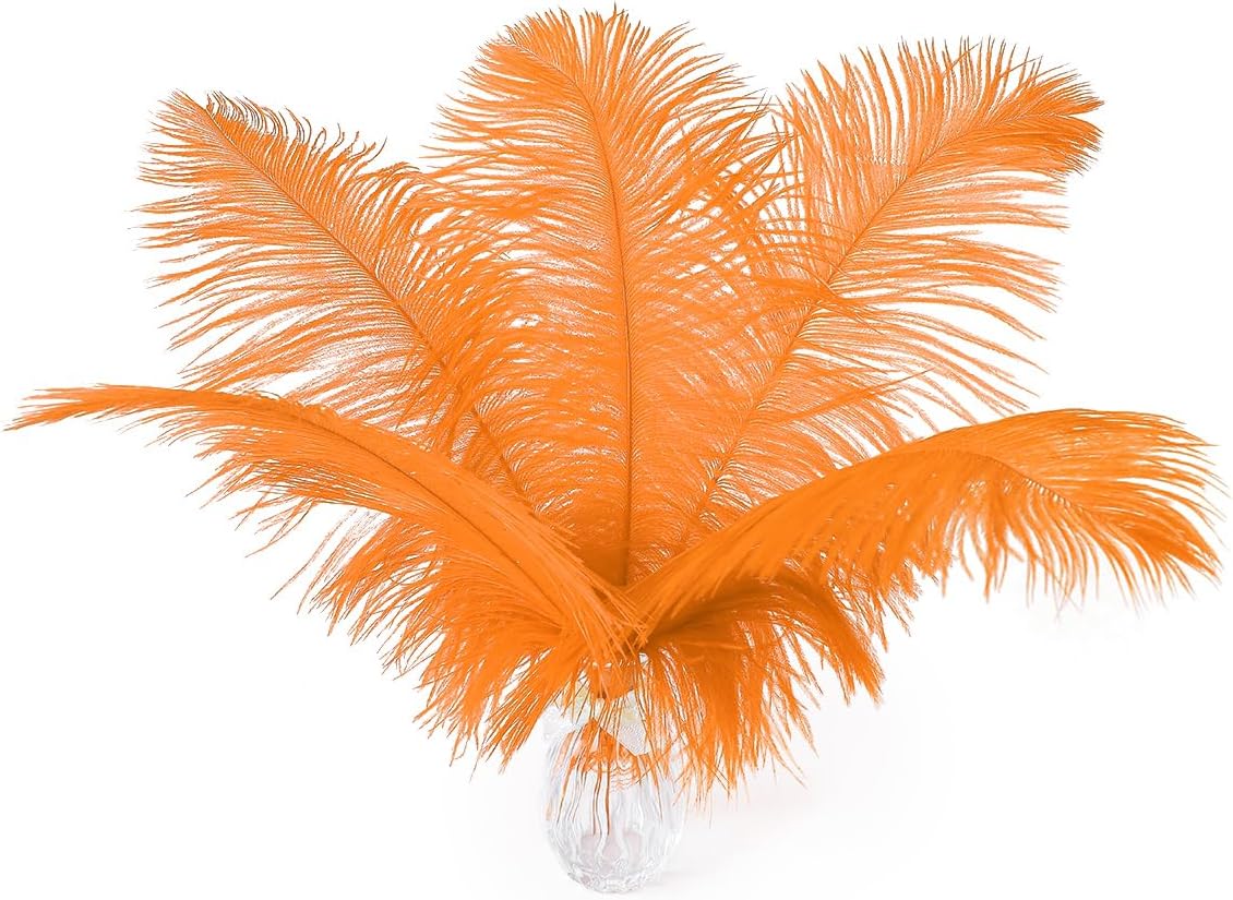 Ballinger Orange Large Ostrich Feathers - 24Pcs 8-10inch Big Feathers for Crafts,Wedding Party Centerpieces and Halloween Home Decor