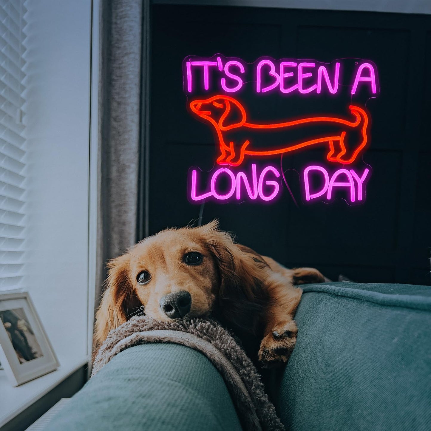 Dimmable Dog Neon Sign Pink It’s Been A Long Day Neon Light for Wall Decor Red Cute Dachshund LED Light Up Sign with USB for Bedroom Pet Shop Dog Theme Party Decor Gift for Dog Lovers (16.5*12.6In）