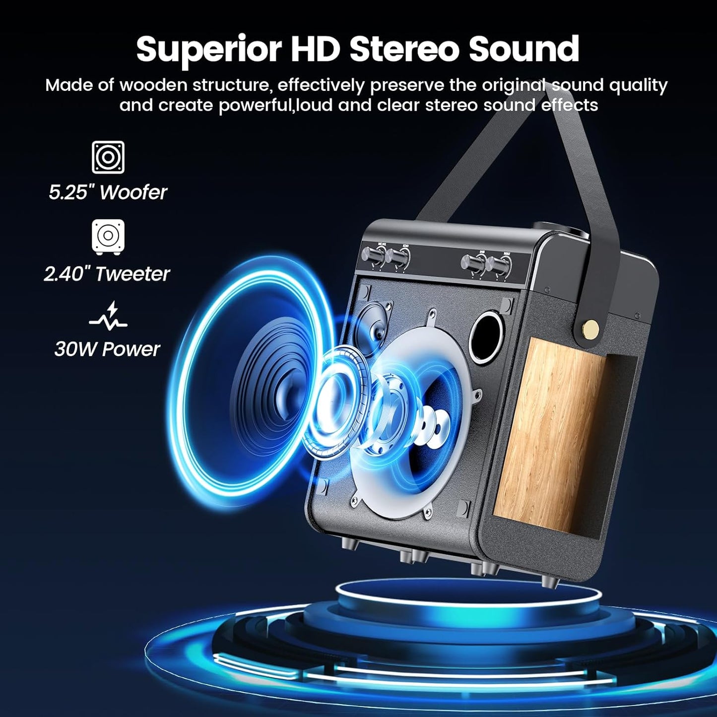 Karaoke Machine with 2 Wireless Microphones, Portable Bluetooth Speaker for Adults Kids with Bass Treble Echo PA System with Remote,LED Light, Supports TF Card,USB,AUX in,TWS,FM,REC for Party