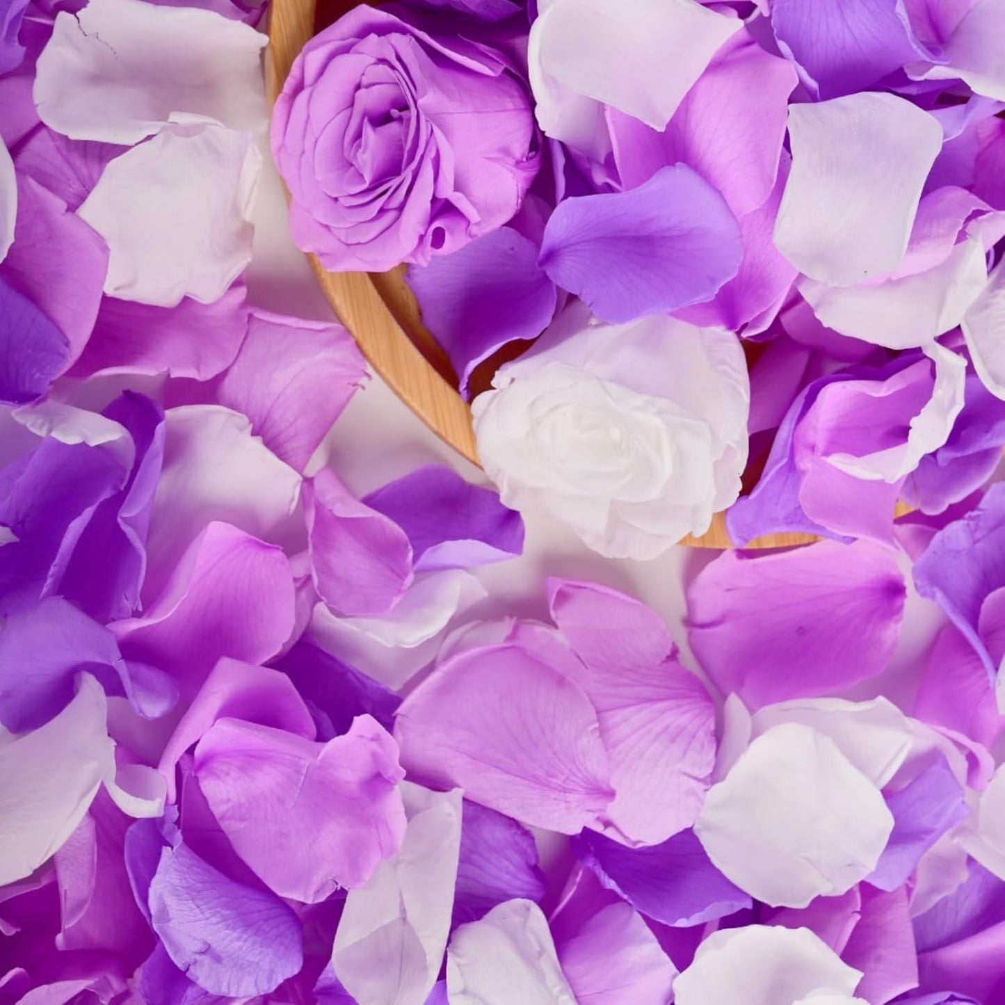 180 PCS Real Purple White Rose Petals for Wedding Flower Girl to Throw, 1.75oz Mixed Fresh Dried Rose Petal for Proposal Centerpieces Valentine's Day Romantic Night Decor
