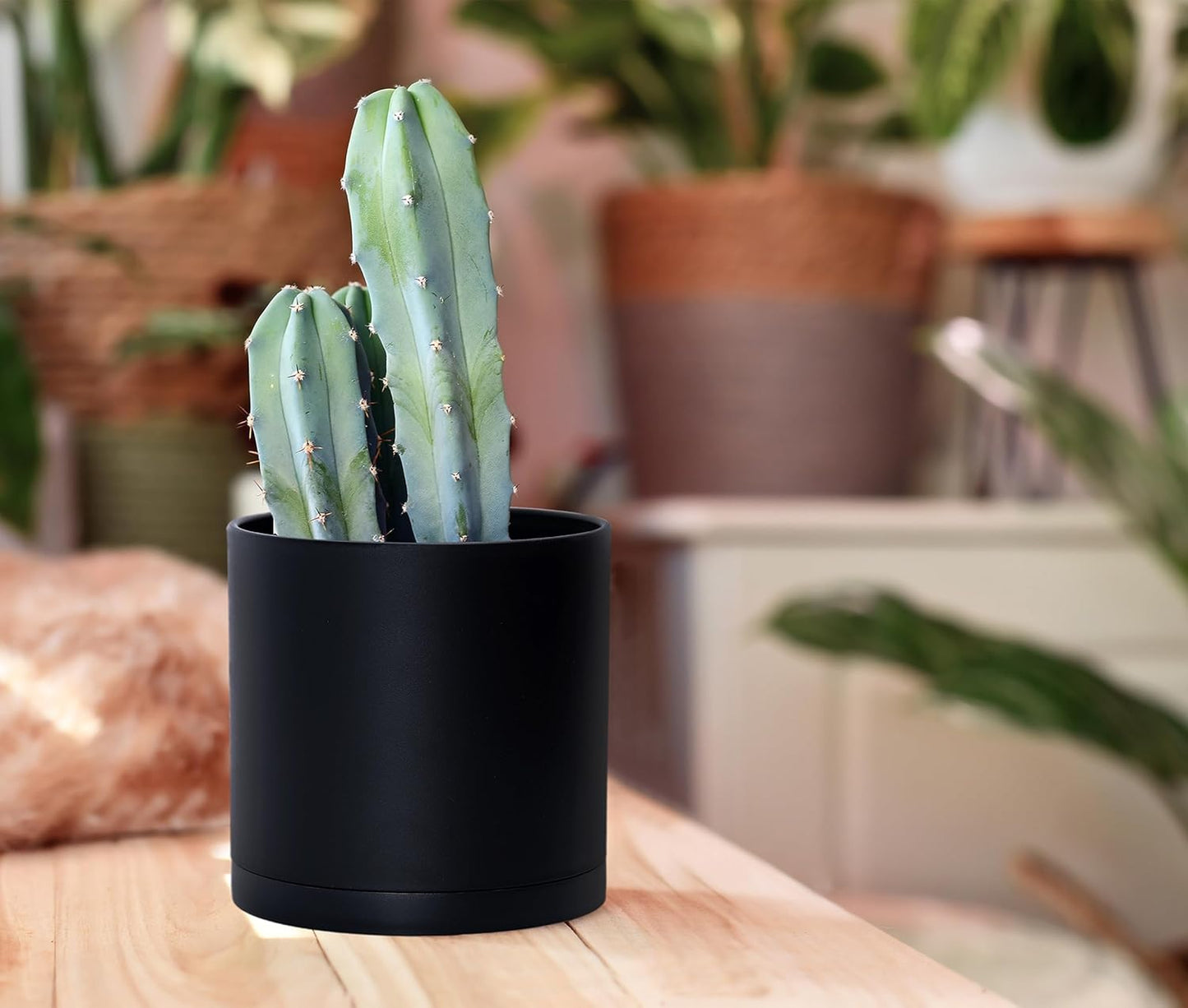 D'vine Dev 2 Pack 5.5 Inch Modern Plastic Plant Pots, Small Garden Planters for Plant with Drainage Holes and Saucers, Black Color, 74-Y-H-1