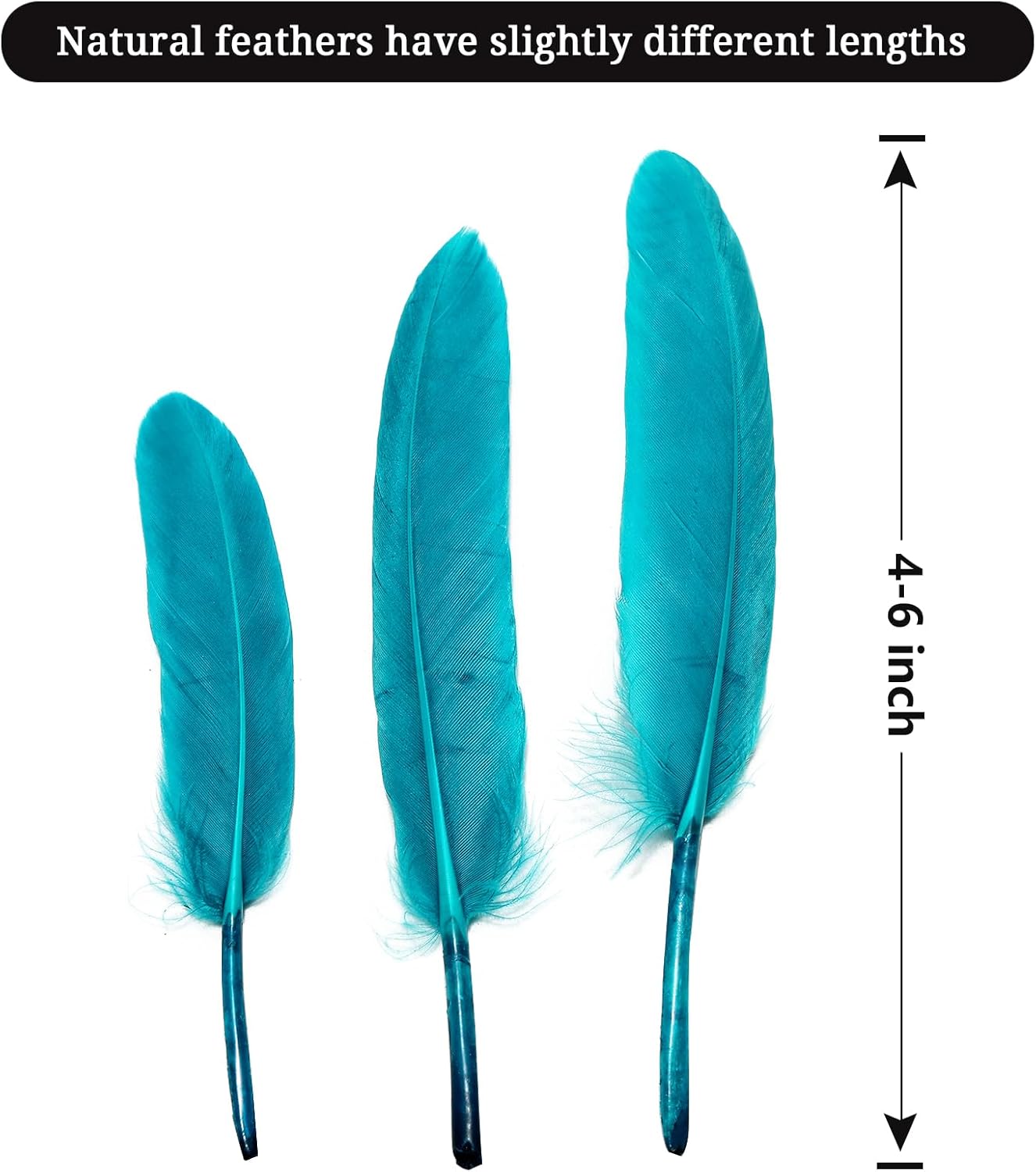 FeelfunFeather 120pcs Peacock Blue Goose Cochettes Feather Natural Bulk 4-6 inch 10-15cm for Wedding Party Christmas Decorations DIY Crafts Goose Cochettes Feather