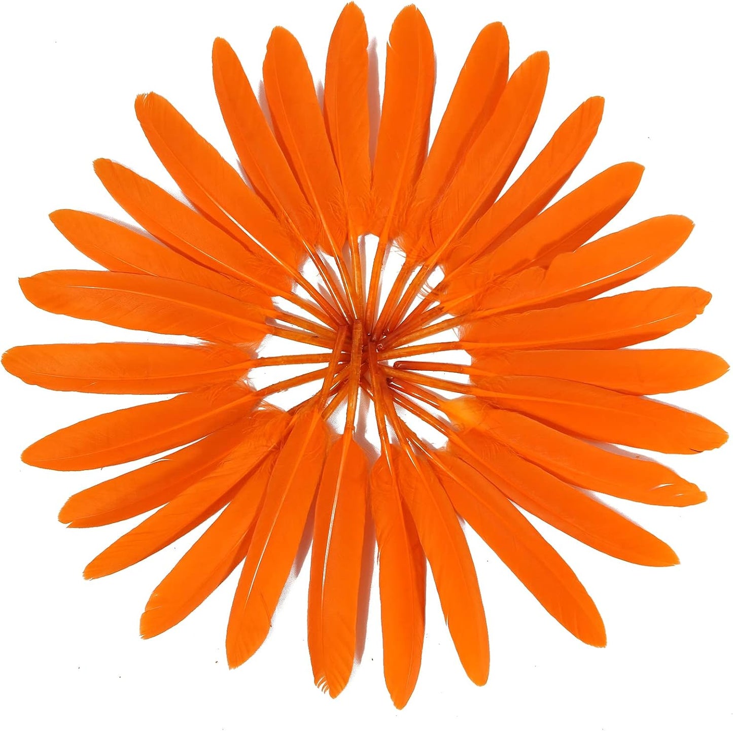 FeelfunFeather 120pcs Orange Goose Cochettes Feather Natural Bulk 4-6 inch 10-15cm for Wedding Party Christmas Halloween Decorations DIY Crafts Goose Cochettes Feather