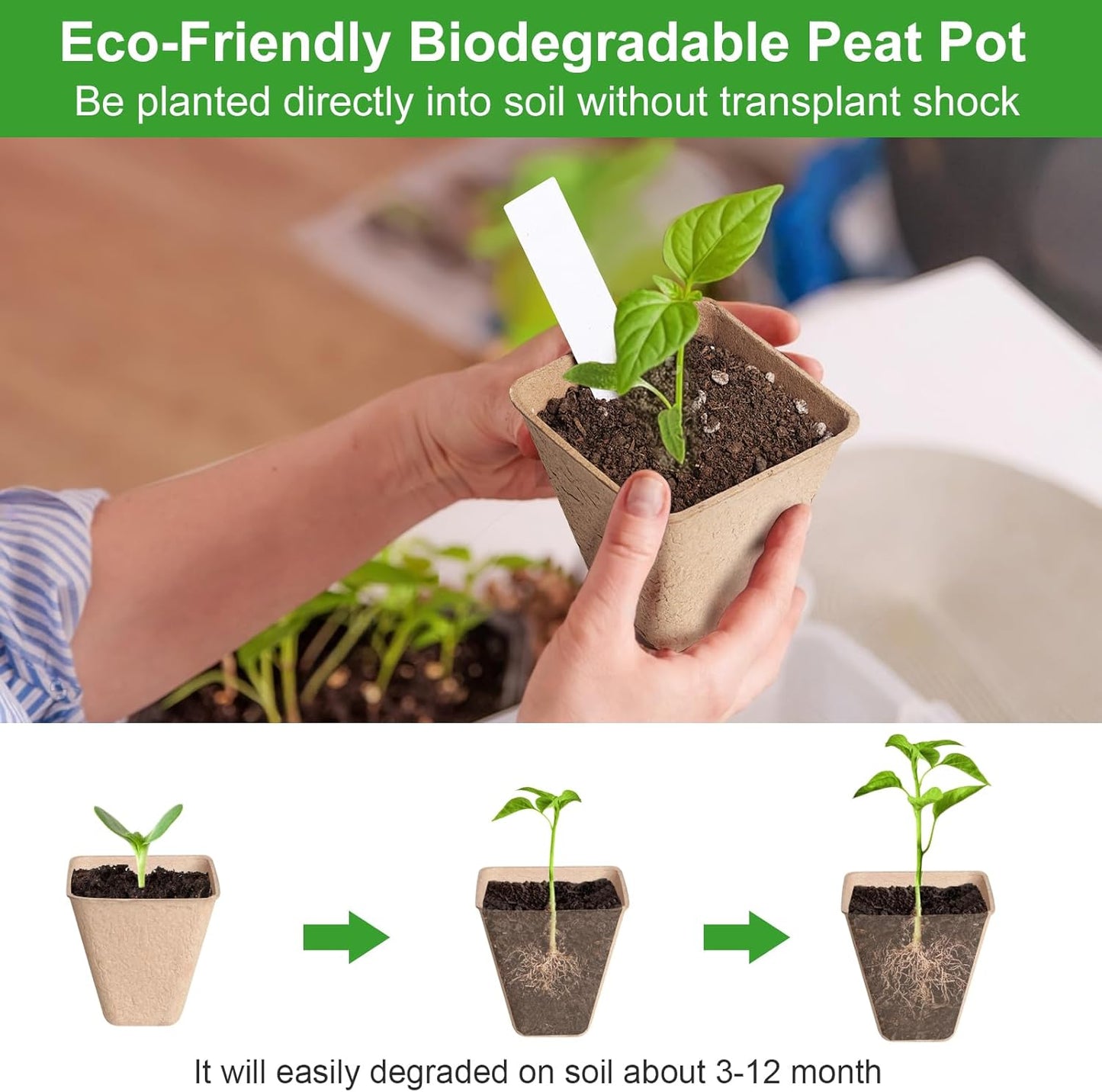 Square Peat Nursery Pots 150 Pcs 3in Biodegradable and Label, Used for Outdoor Gardens in Plant Nurseries
