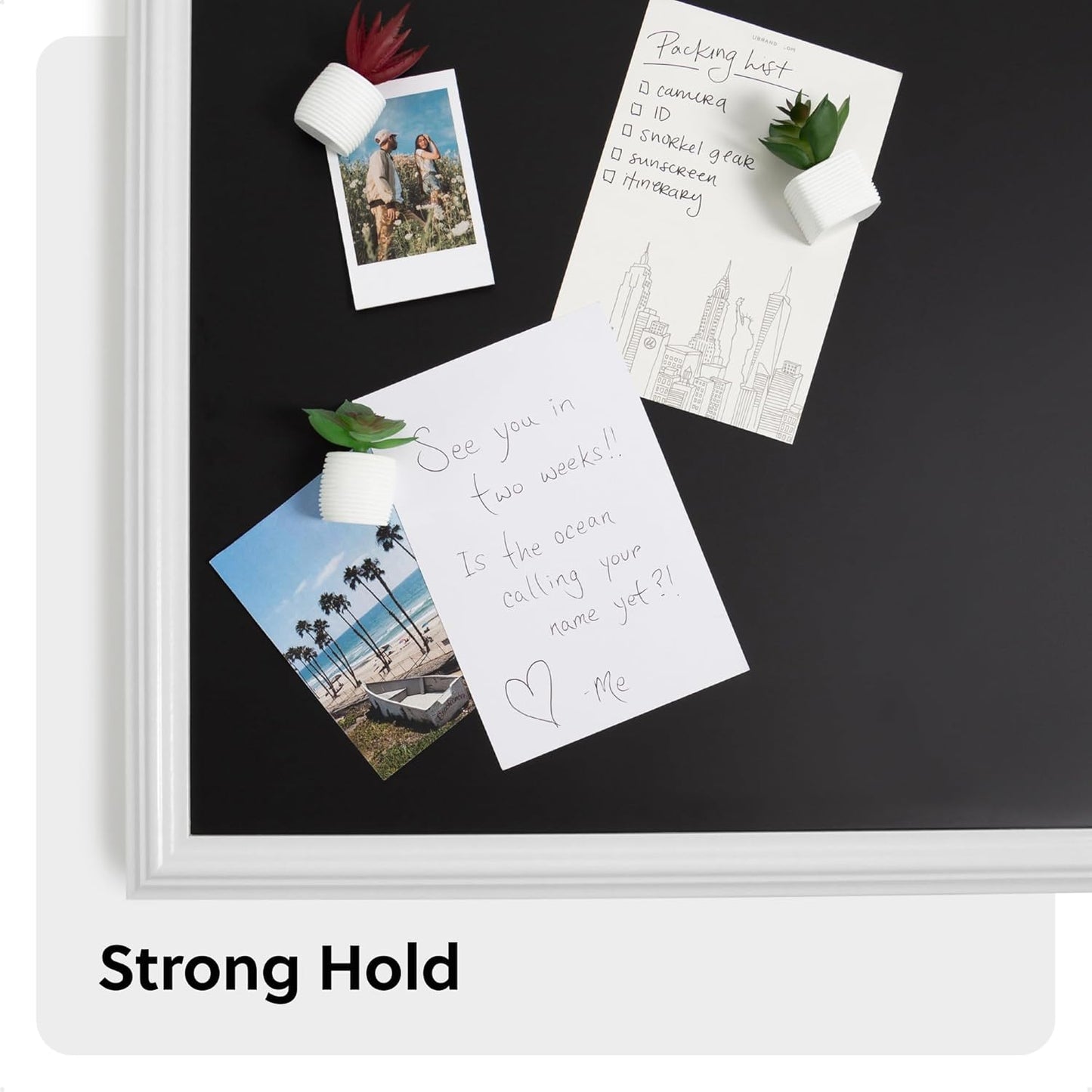 U Brands Mini Fashion Small Magnet Set, Green Succulents, 12 Count, Office Supplies for Classroom or Office Decor, Cute Magnets for Whiteboard