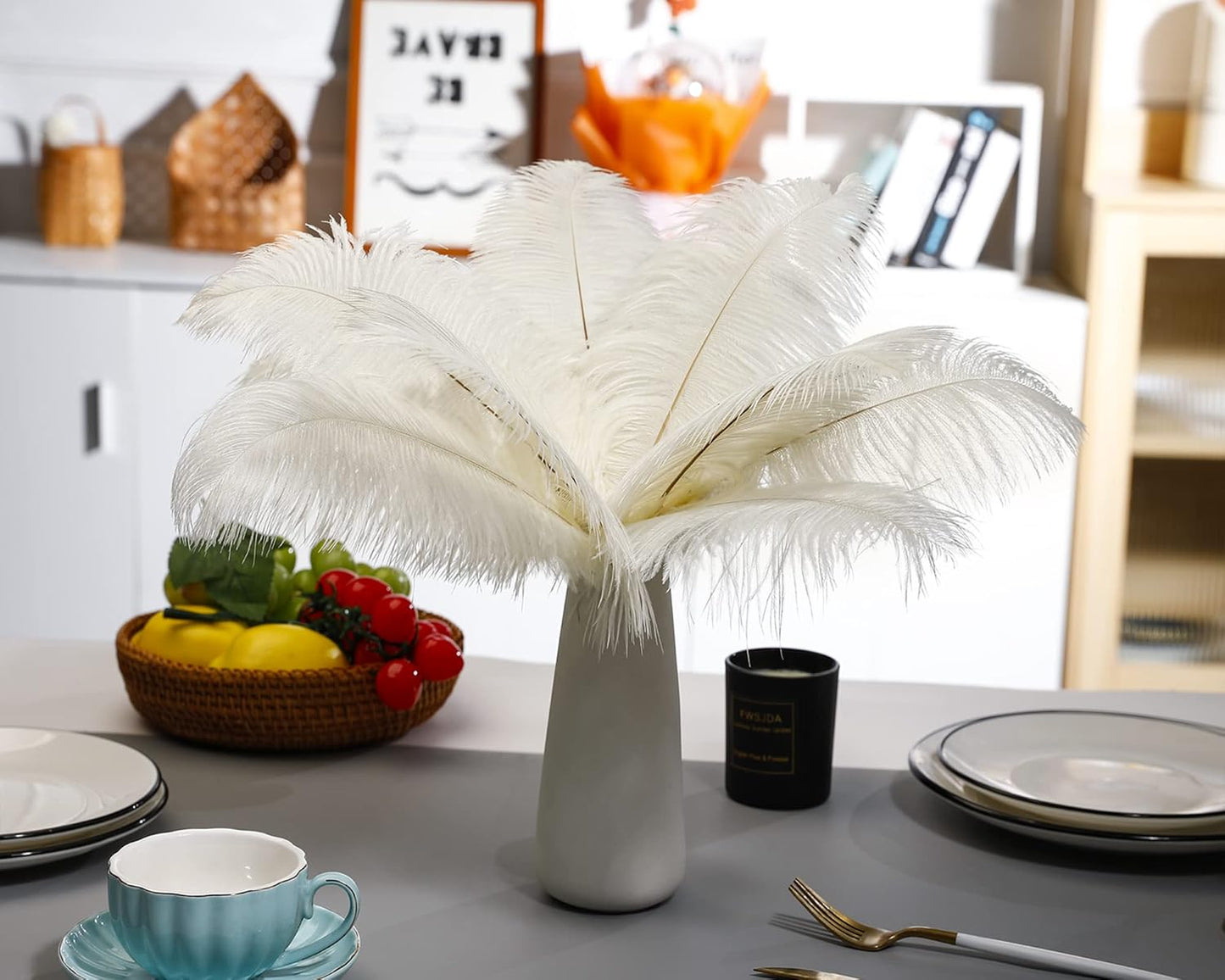 Ballinger Beige Ostrich Feathers Bulk - 24pcs 12-14inch Cream Feathers for Vase,Wedding Party Centerpieces and Home Decor