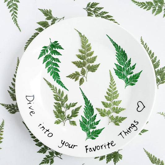 48 Pcs Dried Pressed Flowers Leaves Ferns for Crafts Art Resin DIY Natural Dry Green Leaf Epoxy Jewelry Real Rose Flower Decor Cakes Phone Cases Bookmarks Candles Handmade Soap Ferns