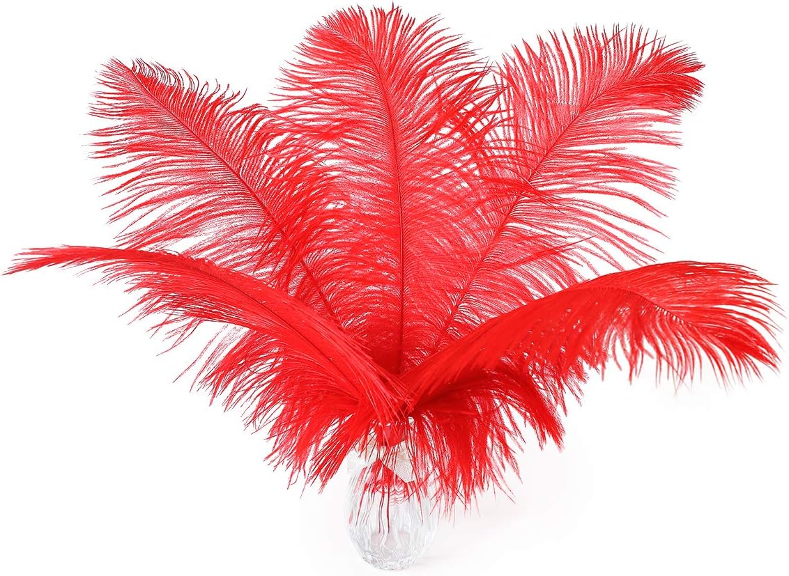 Ballinger Red Ostrich Feathers Bulk - 24Pcs 12-14inch Large Ostrich Feathers for Vase,Party Centerpieces,Wedding and Home Decor