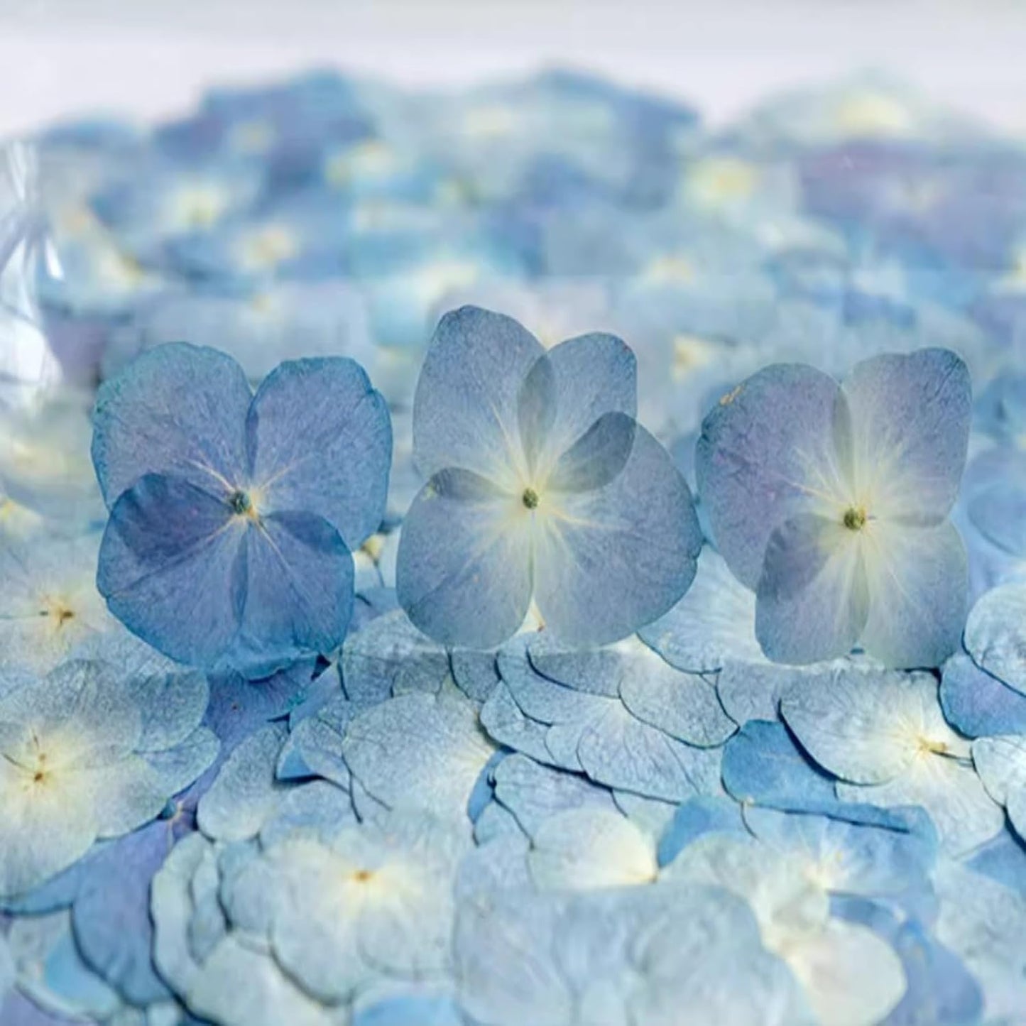 48 Pcs Dried Pressed Flowers for Resin DIY Art Crafts Natural Dry Hydrangea Floral Epoxy Jewelry Real Flower Decor Cakes Phone Cases Candles Handmade Soap Hydrangea