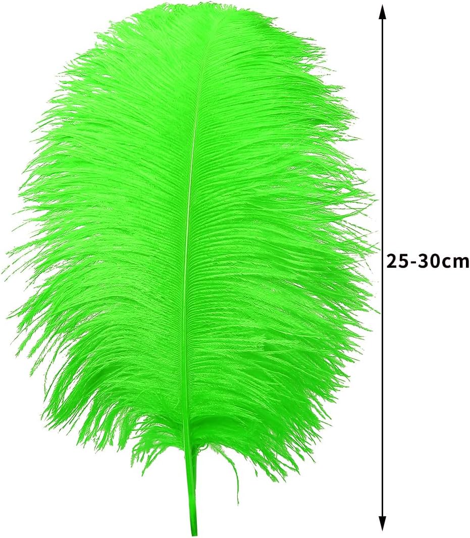 Ballinger Lime Green Ostrich Feathers - 24Pcs 10-12inch Large Green Ostrich Feathers for Vase,Wedding Party Centerpieces and Holiday Home Decor