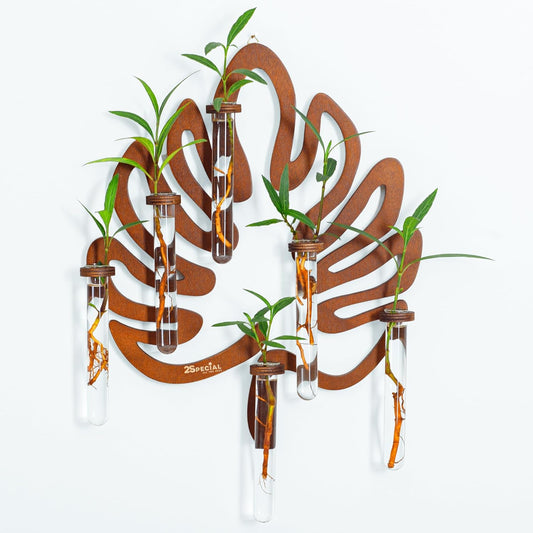 2Special Propagation Stations | Hanging Propagation Station and Wall Planters for Indoor Plants | Wooden Wall Vase, 6+1 Glass Propagation Vases for Plants | Leaf Shape Plant Propagation Station