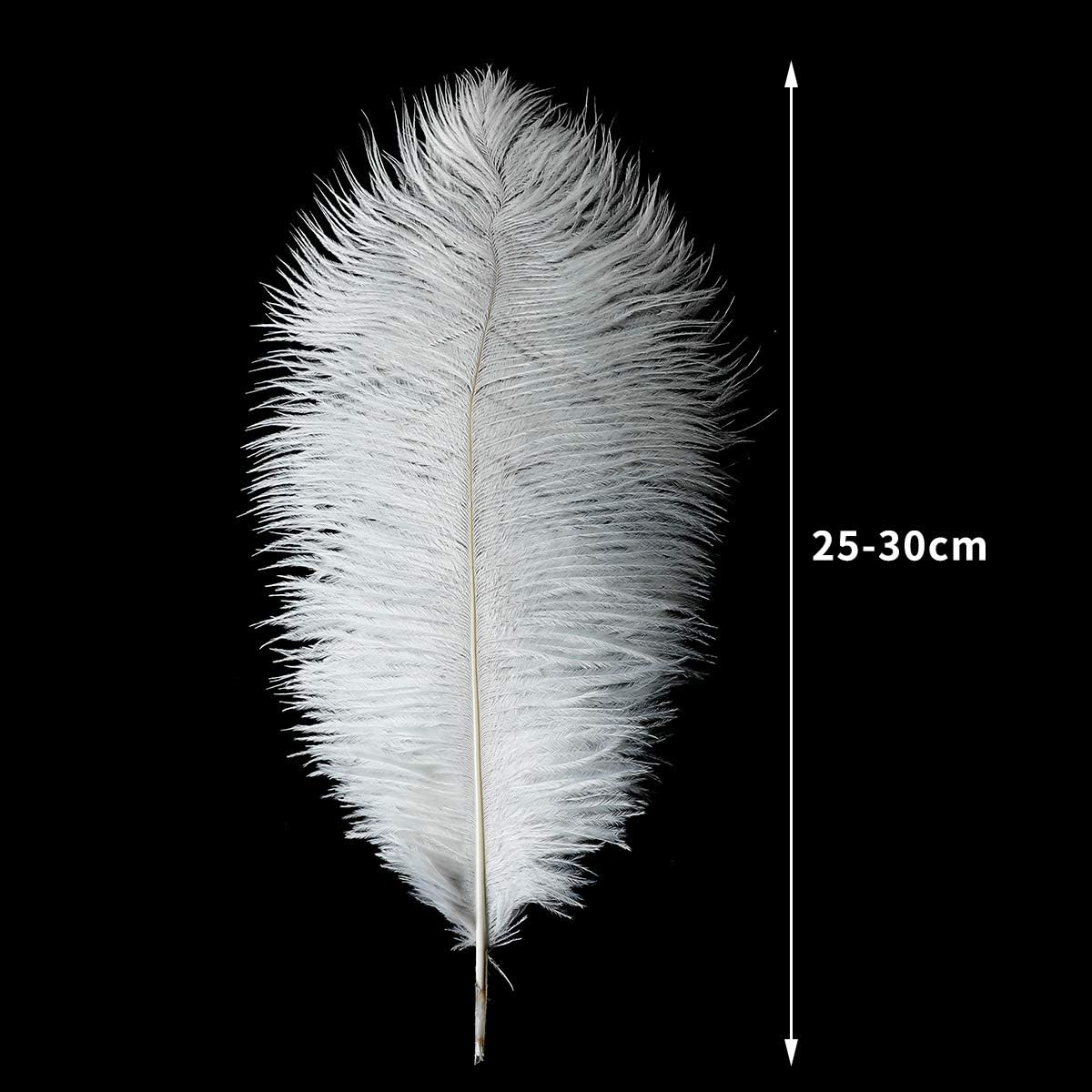 24pcs Natural White Ostrich Feathers 10-12inch (25-30cm) for Wedding Party Centerpieces，Flower Arrangement and Home Decoration.