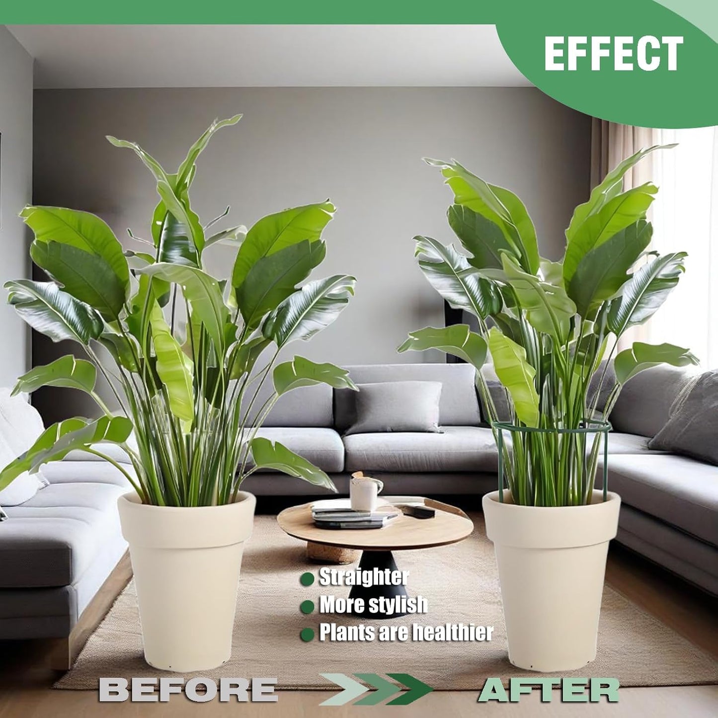 LINGHUI 12 Pack Plant Support Stakes, 10" Wide x 16" High,Heavy-Duty Half Round Peony Support Ring and Cage for Indoor and Outdoor Plants, Peony, Tomato, Hydrangea, Rose(100 Plant Ties)