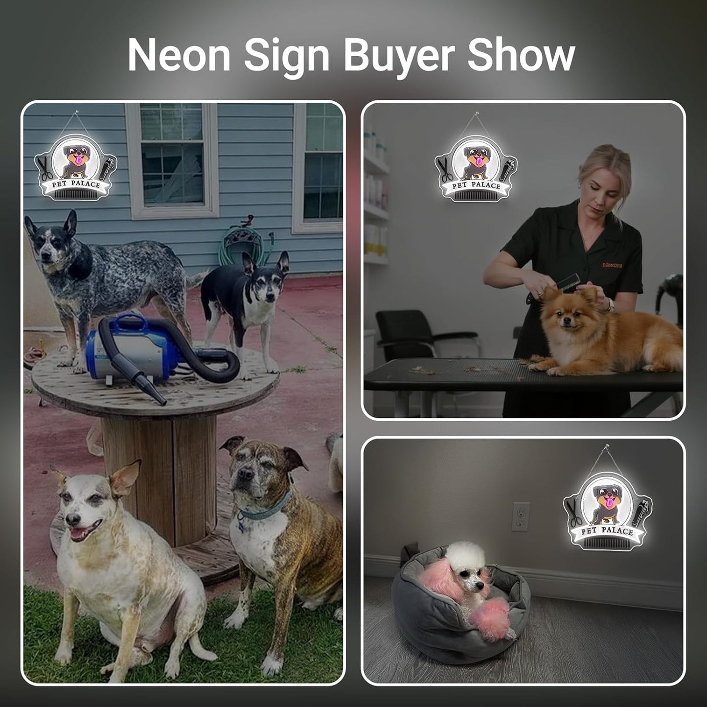 Pet Palace Neon Sign Dog LED Neon Signs for Wall Decor Pet Grooming&Hair Cut Salon Club Led Light for Animal Clinics Neon Wall Unique Gift for Pet Shop