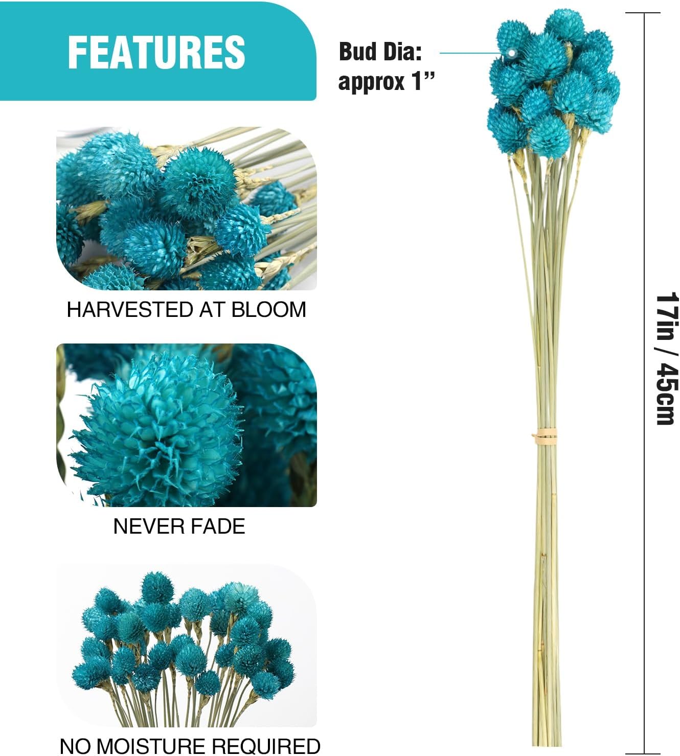 Dried Flower Tiffany Blue Globe Amaranth with Wheat Straw Natural - 40PCS Bouquet for Vase Home Decor Party DIY Arrangement