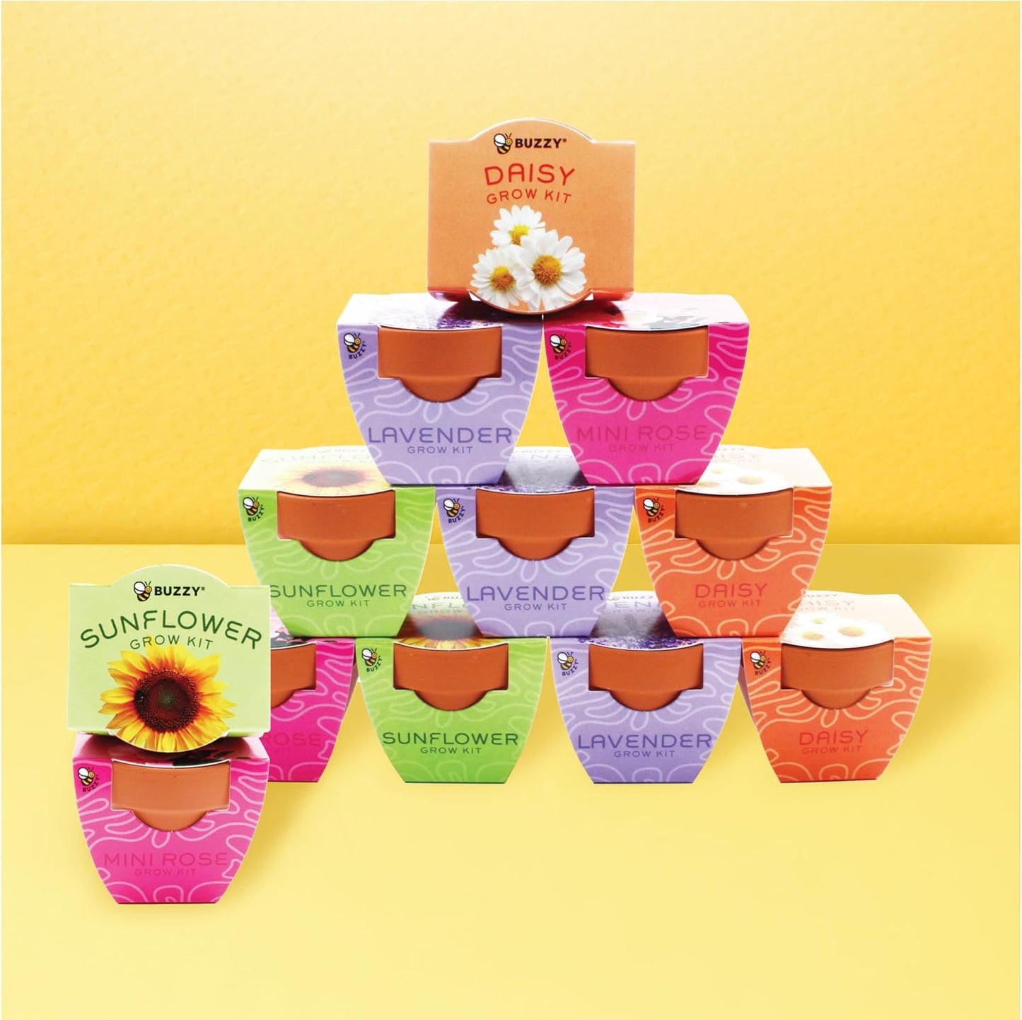 BUZZY Seeds Terracotta Mini Grow Pots | Flower Starter Kit for Kids & Adults | Assorted 12-Pack, Bright Series Collection, Daisy, Lavender, Mini Rose, Sunflower | Gardening Gift, Party Favors