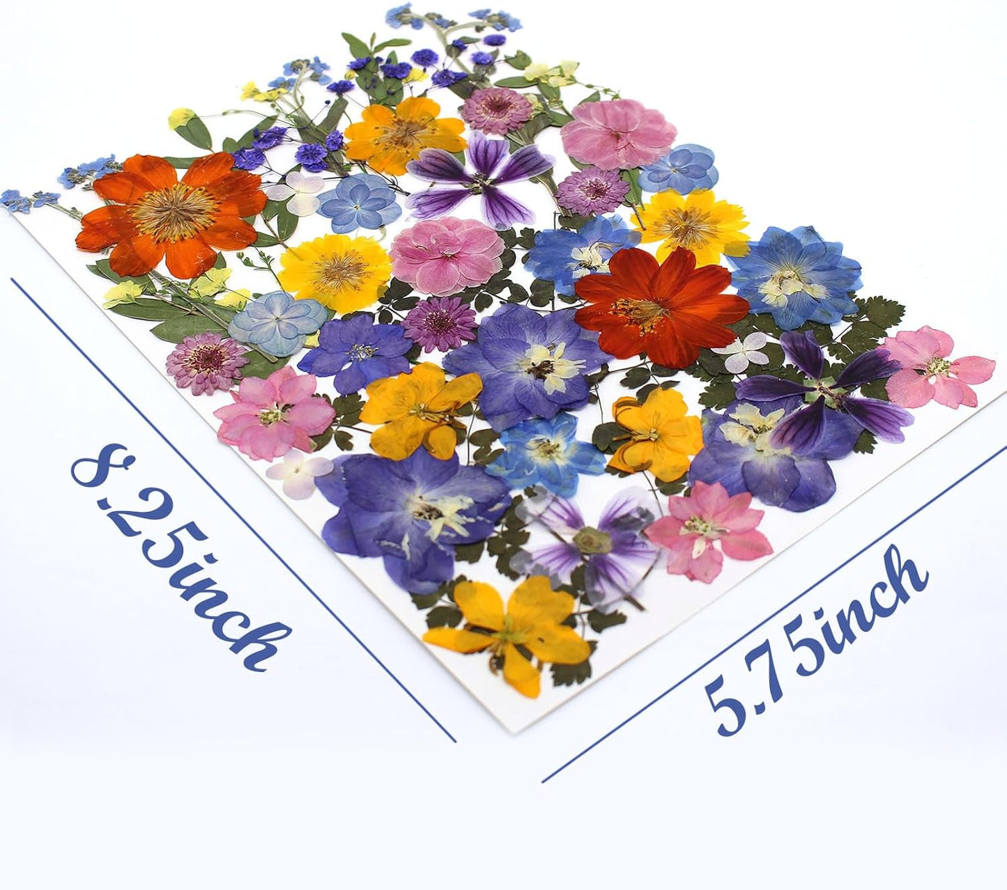 17 Types Retro Dried Pressed Flowers Leaf Plant Herbarium for DIY Resin Jewelry Making Floral Decors(Muti Color)