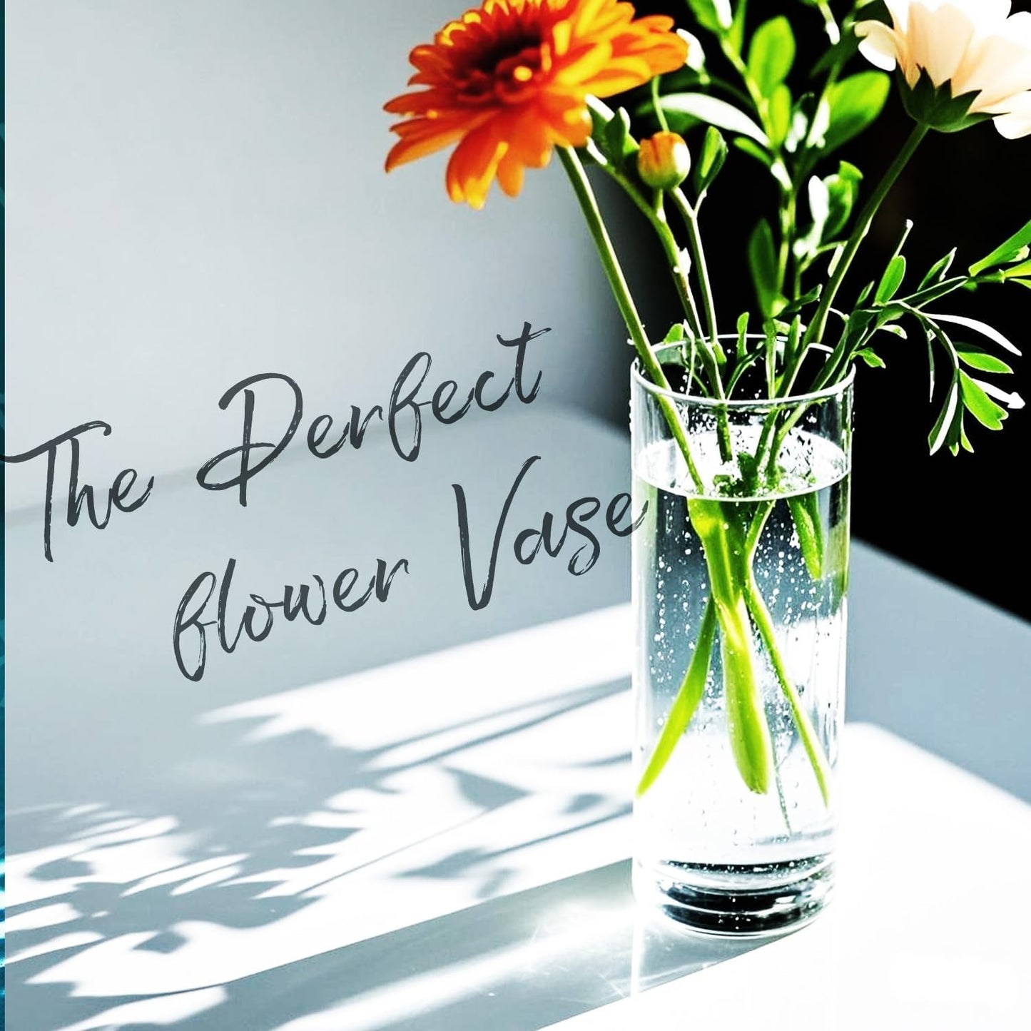 5pcs Glass Vase Cylinder Vases for Centerpieces Small Flower Glass Vases Home Decor Centerpiece Table Clear Flower Vase Decorations for Wedding＆Holiday 4,6,7.5,8,10 Inch Tall