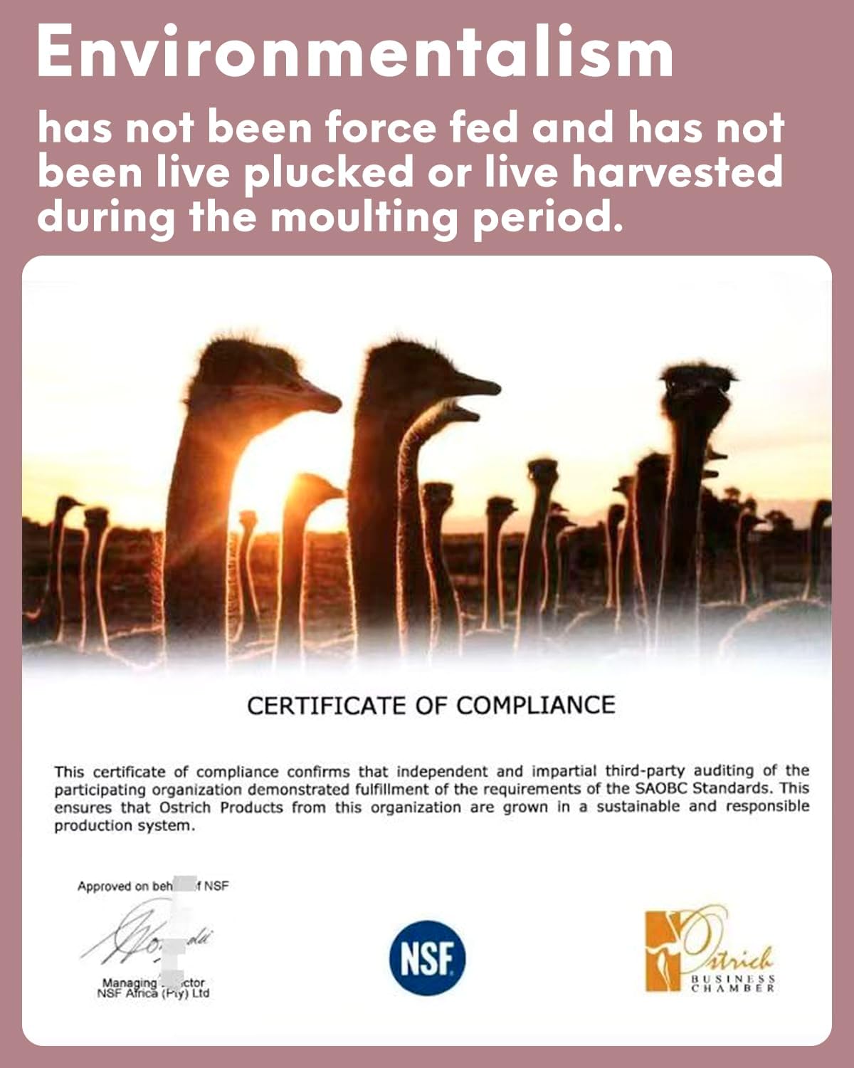 NEWONG 30pcs Peony Pink Green Ostrich Feathers Natural Bulk 11-14inch(28-35cm) Vase Craft Wedding Home Party Centerpieces Christmas Day Decoration