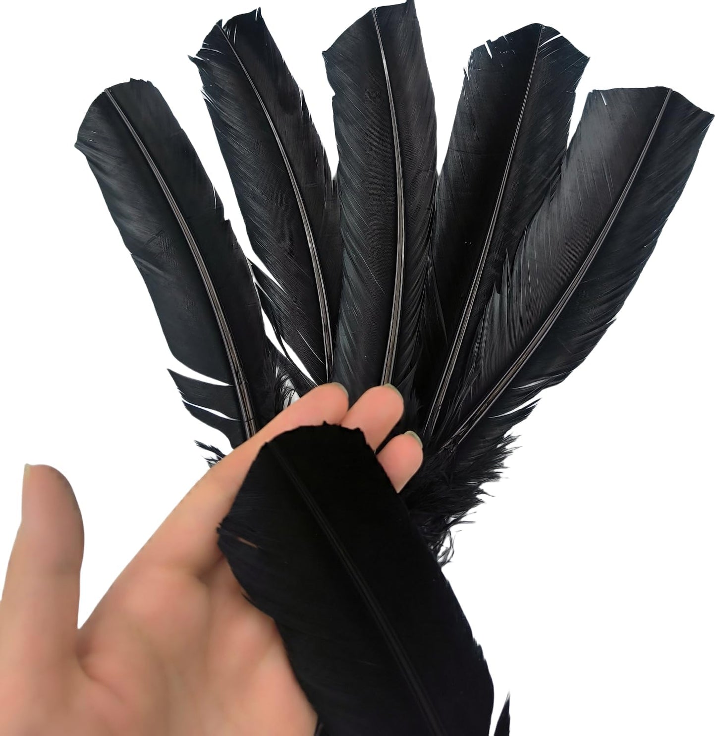 Black Turkey Feathers,22 Pcs Natural Feathers Bulk Long 10-12 inch (25-30cm),Turkish Feather for Crafts DIY Wedding Home Party Mardi Gras Decorations (Black)