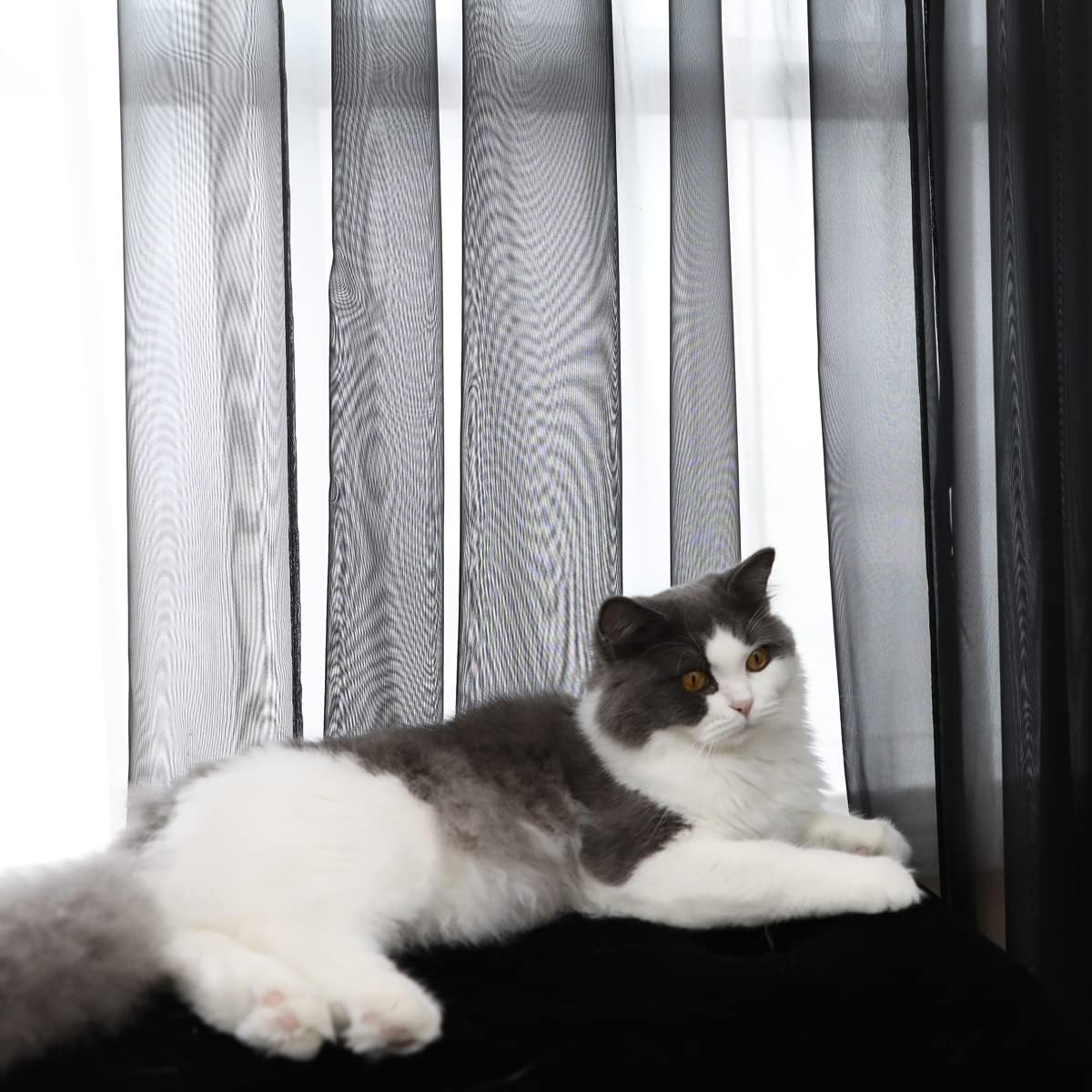 Window Black Sheer Curtains 84 Inches Long 2 Panels Sheer Curtain Basic Rod Pocket Panel for Bedroom Children Living Room Yard Kitchen (Black, 52" W x 84" L | 2 pcs)