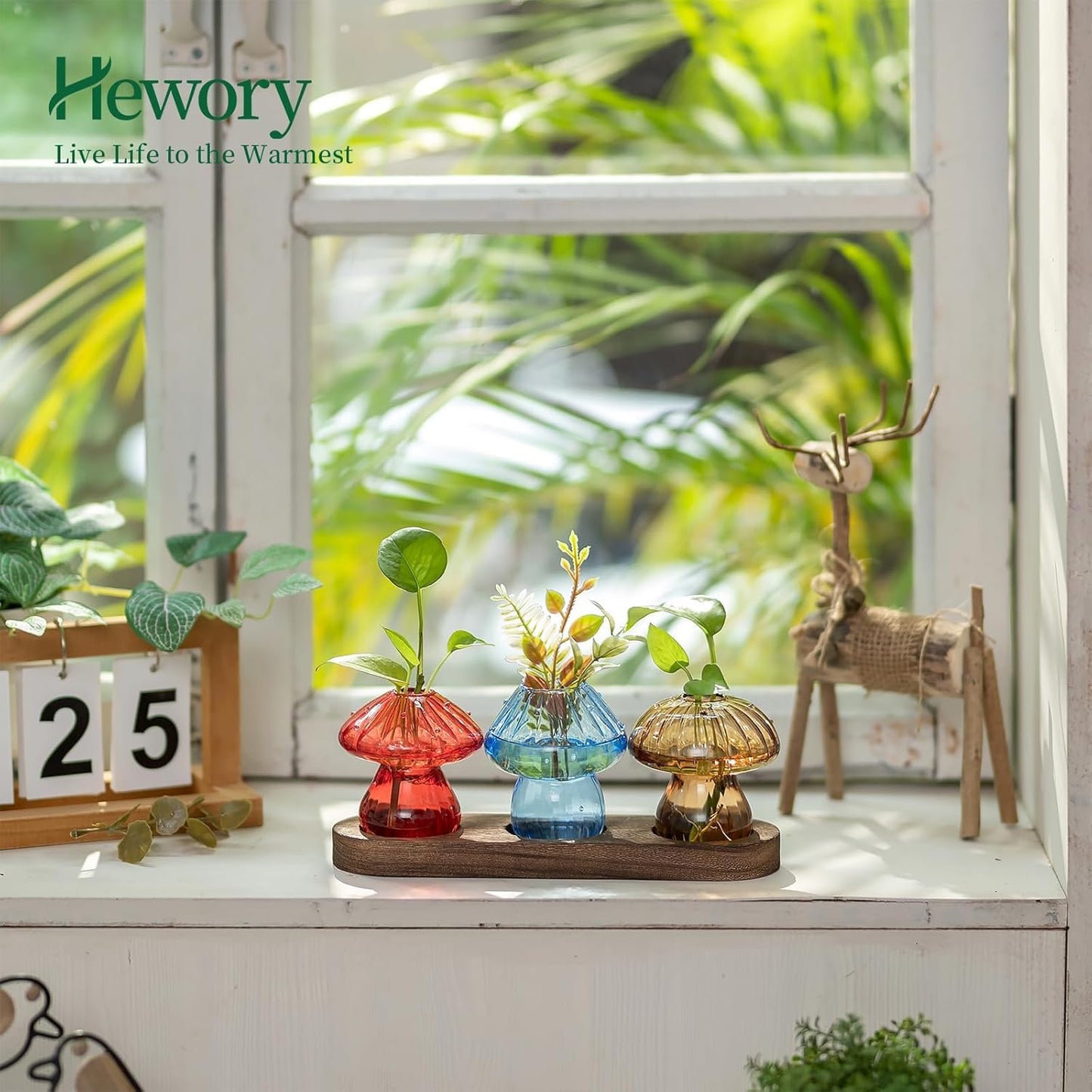 Glass Propagation Station for Plant: Mushroom Planter with Wooden Stand for Home Office Decor - Unique Propagation Jars for Plant Lovers - Set of 3 Hydroponic Mushroom Vases Gift for Mom