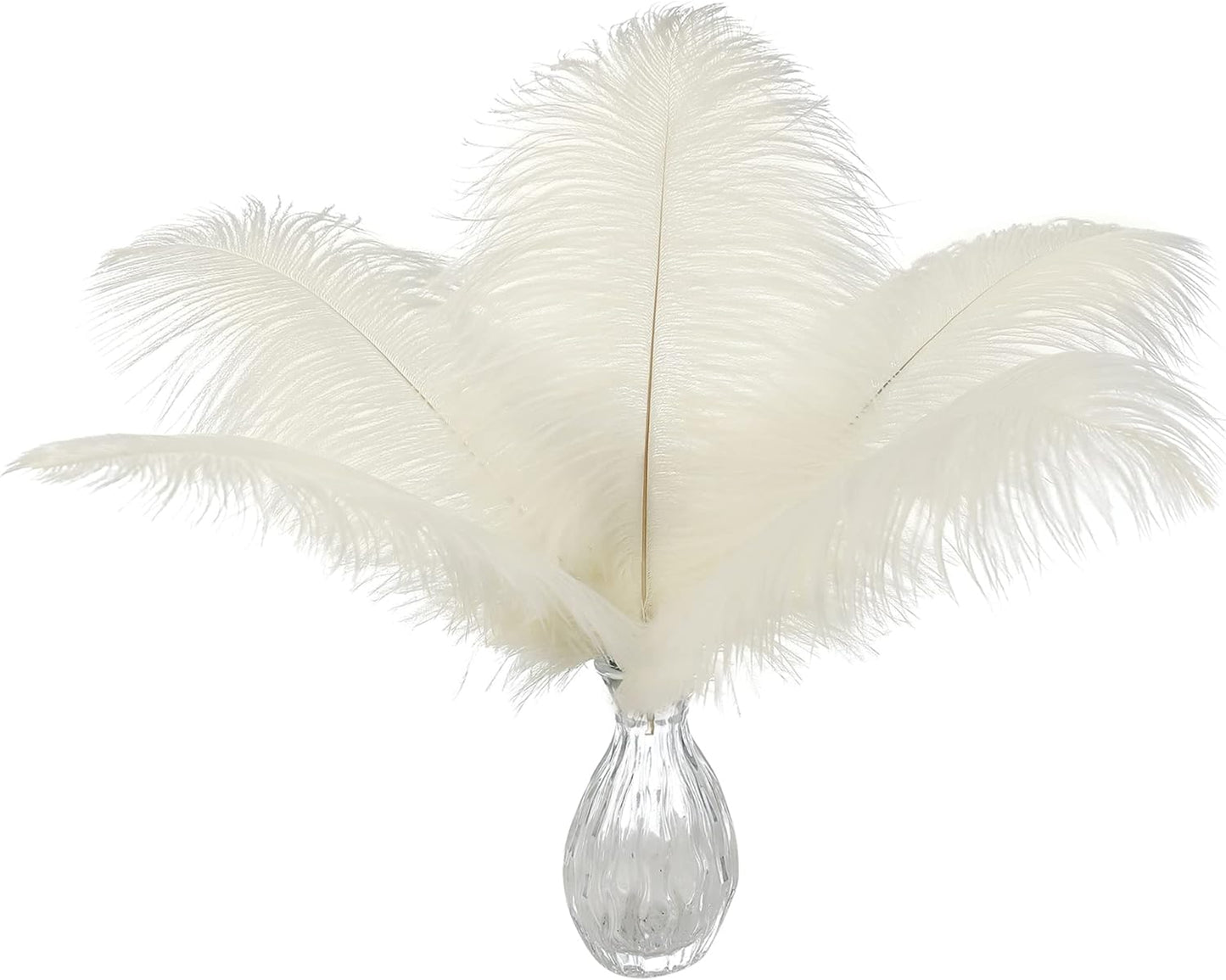 Ballinger Beige Ostrich Feathers Bulk - 24pcs 12-14inch Cream Feathers for Vase,Wedding Party Centerpieces and Home Decor