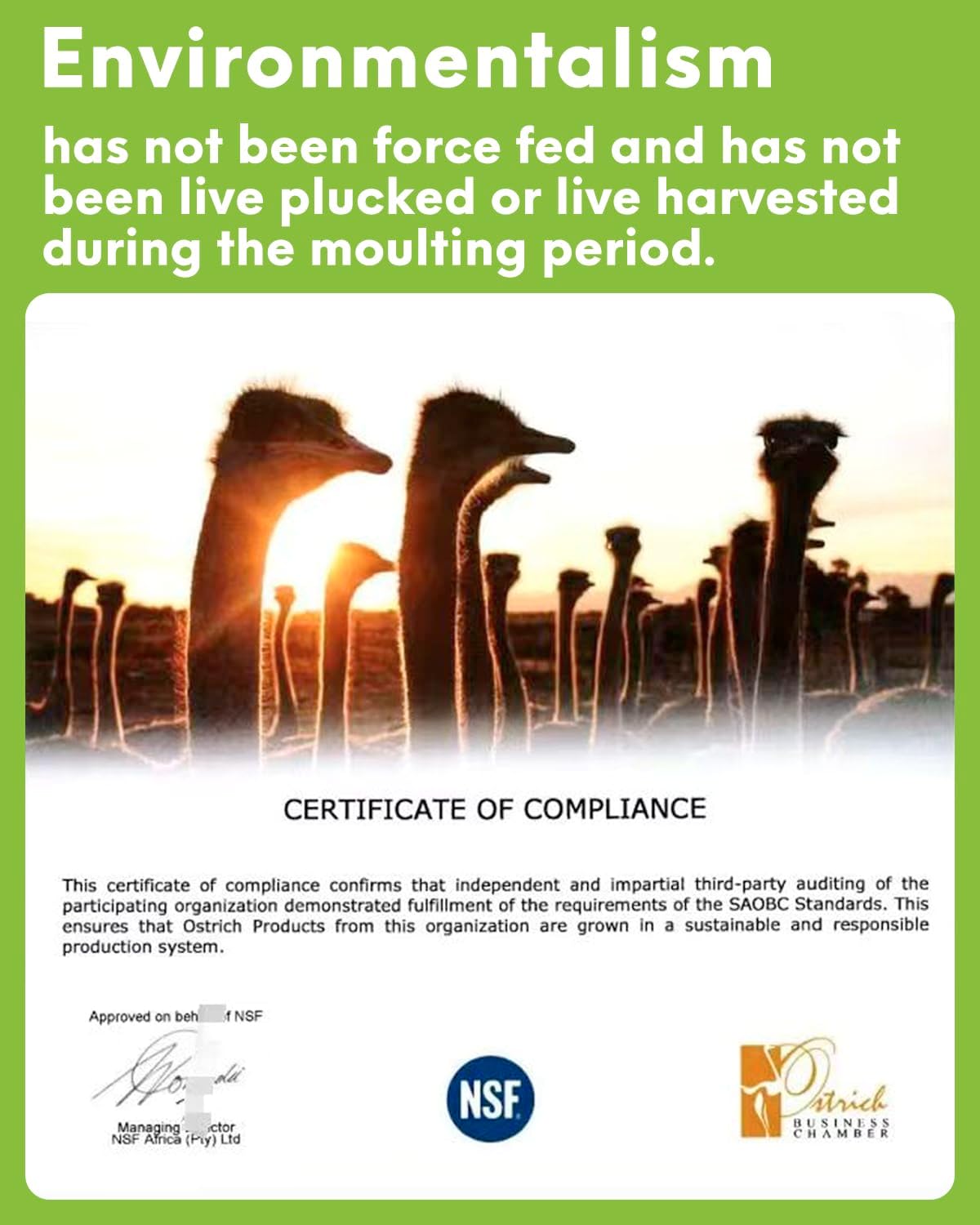 NEWONG 30pcs White Ostrich Feathers Natural Bulk 8-10inch(20-25cm) Vase Craft Wedding Home Party Centerpieces Christmas Day Decoration