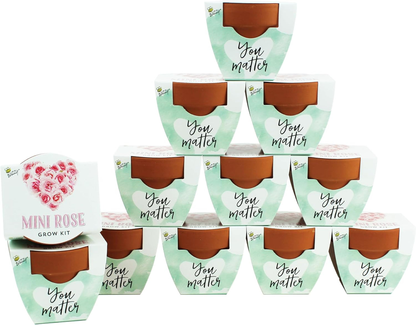 BUZZY Seeds Love Collection Mini Rose Terracotta Grow Pots, 12-Pack Gardening Kit Ideal for Wedding Favors, Baby Shower Prizes, Valentine’s