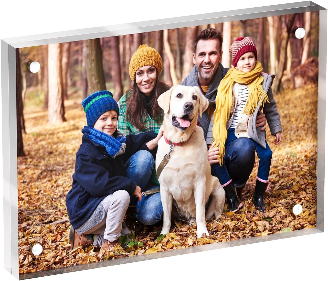 3.5x5 Acrylic Picture Frame 1 Pack, Clear Freestanding Double Sided Frameless Magnetic Photo Frames, Desktop Display Decor Gift