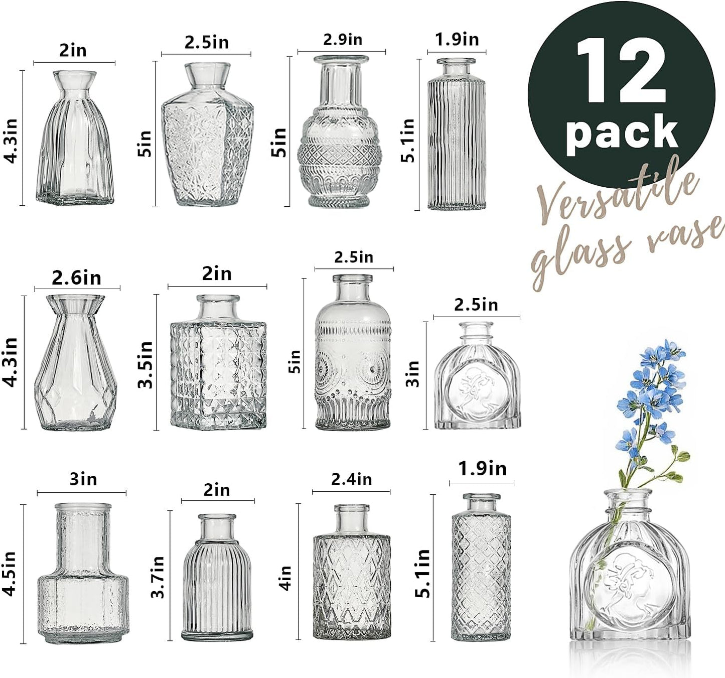 Glass Bud Vase Set of 12 Pcs Small Minimalist Vases for Flowers, Vintage Rustic Home Decor for Table Centerpiece Wedding Party, Modern Clear Aromatherapy Bottle for Living Room Bedroom